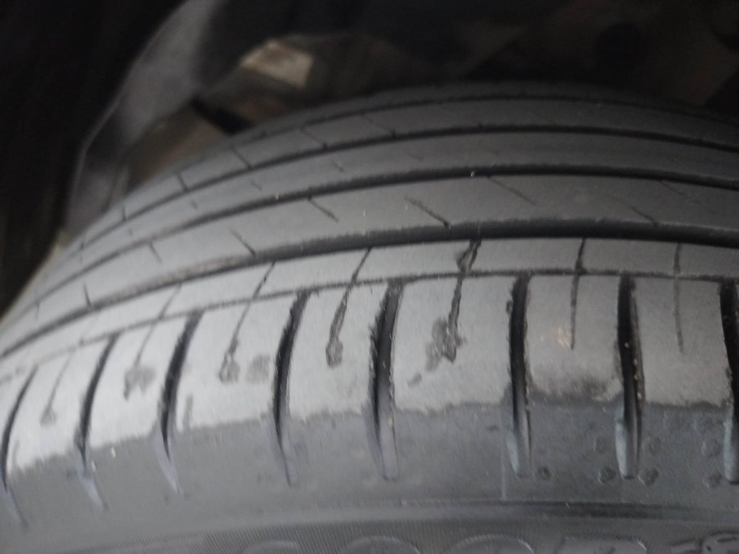 Hector image 38 Hector image 38