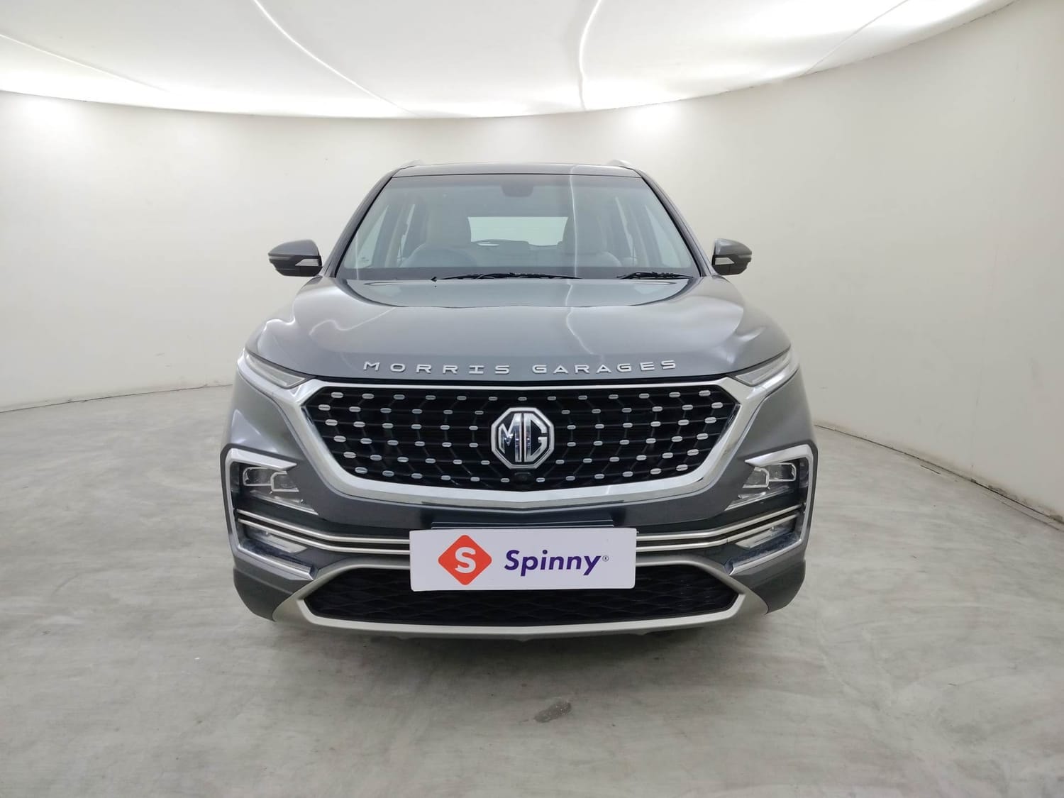 Hector image 8 Hector image 8