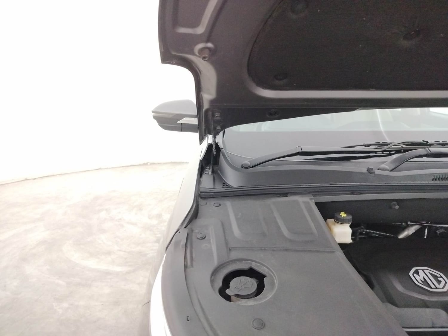 Hector image 31 Hector image 31