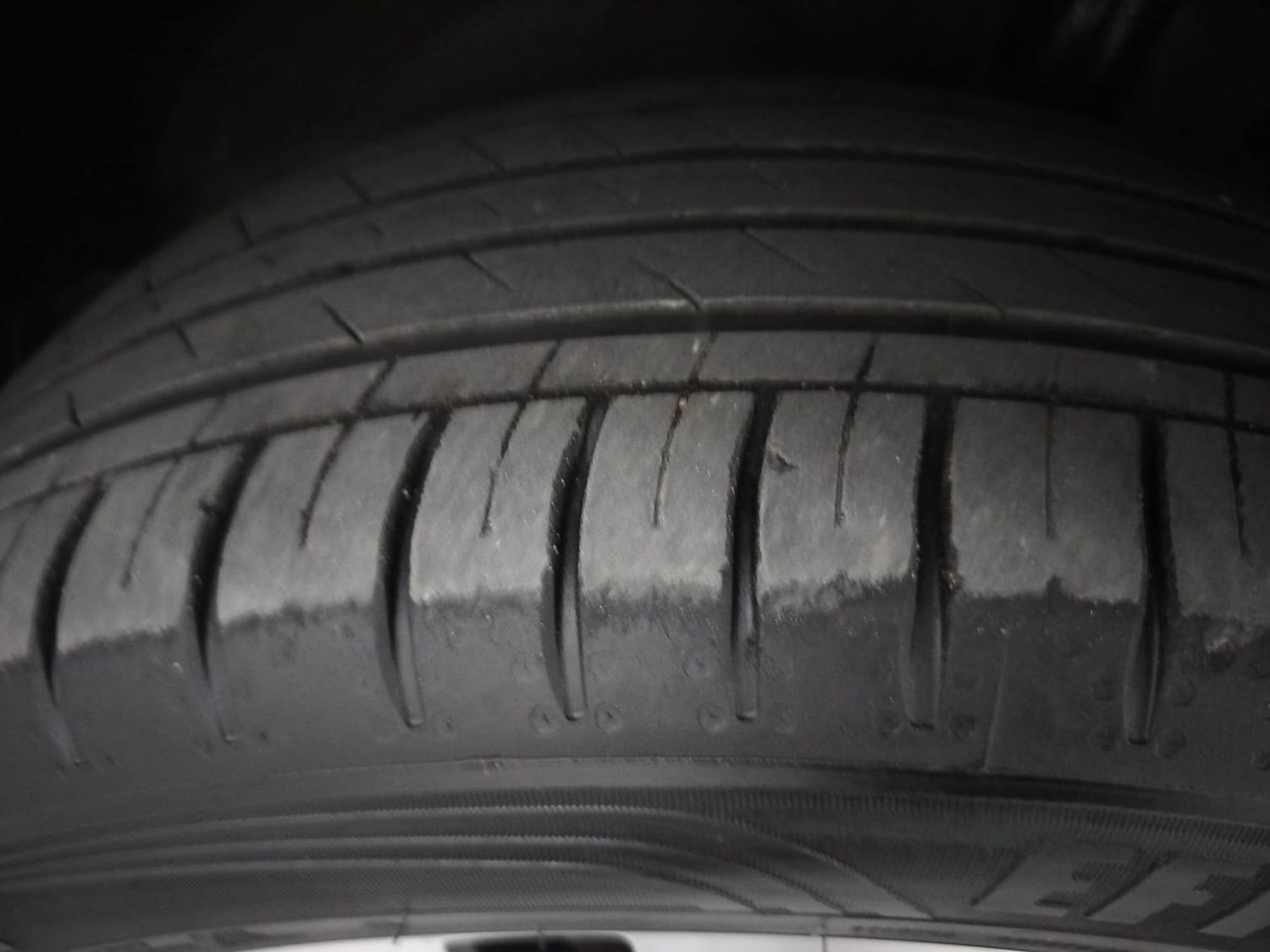 Hector image 36 Hector image 36