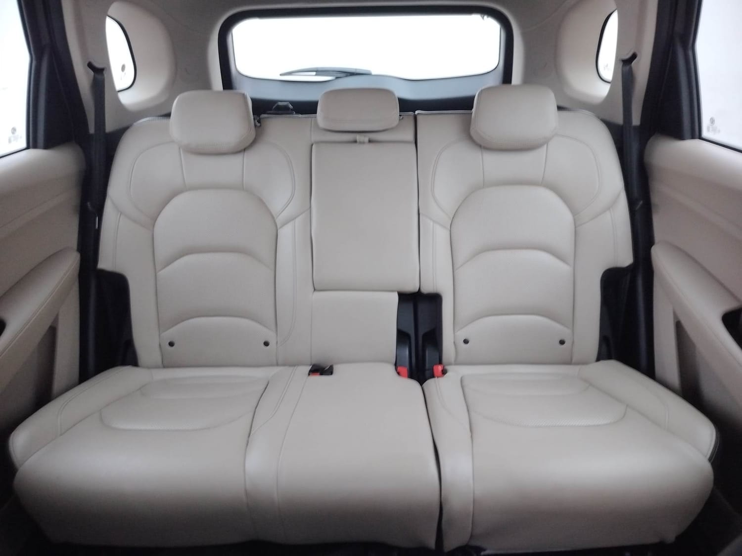 Hector image 23 Hector image 23