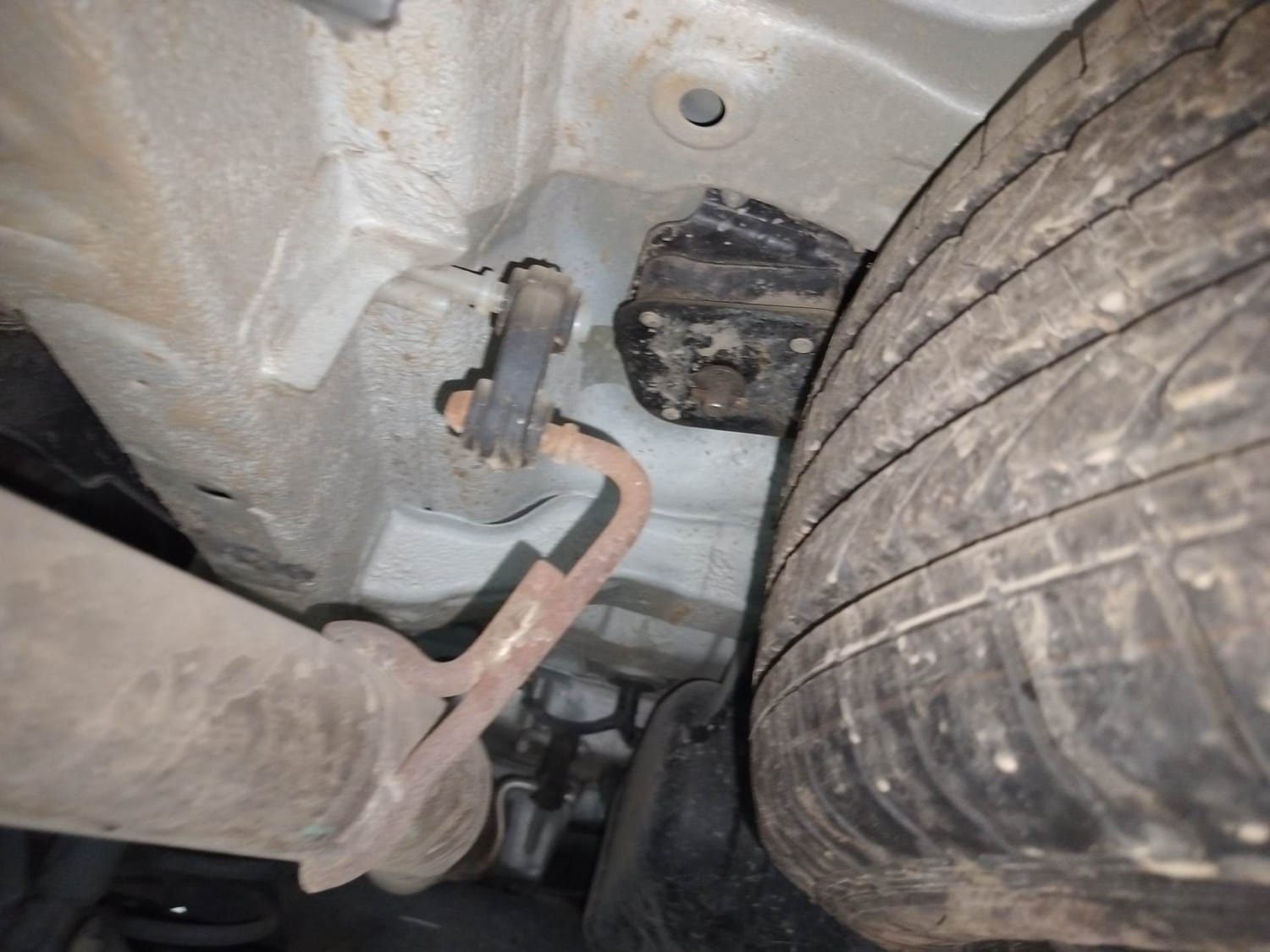 Hector image 40 Hector image 40