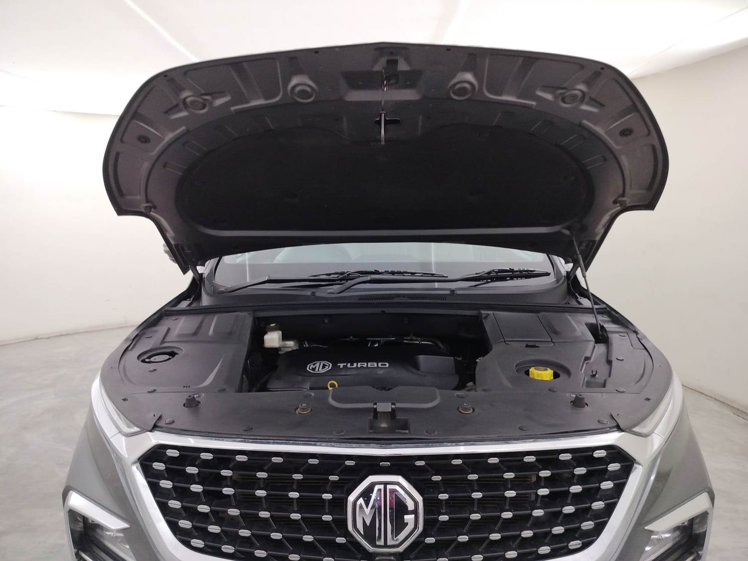 Hector image 27 Hector image 27