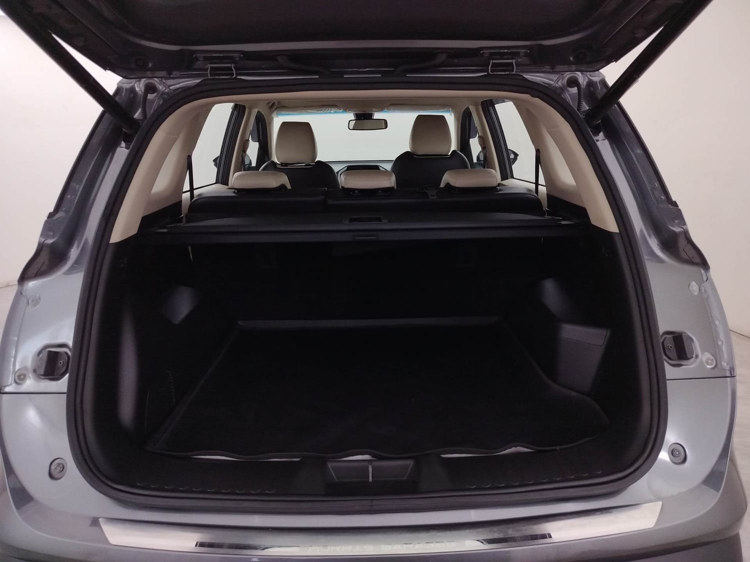 Hector image 25 Hector image 25