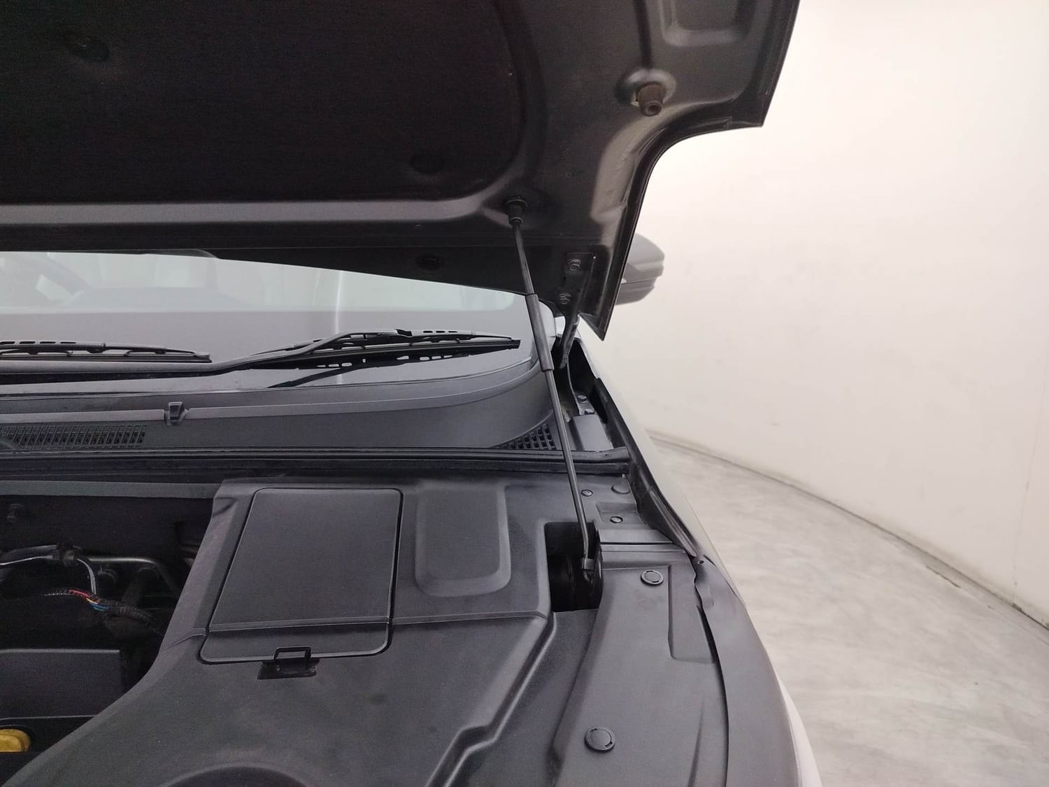 Hector image 30 Hector image 30