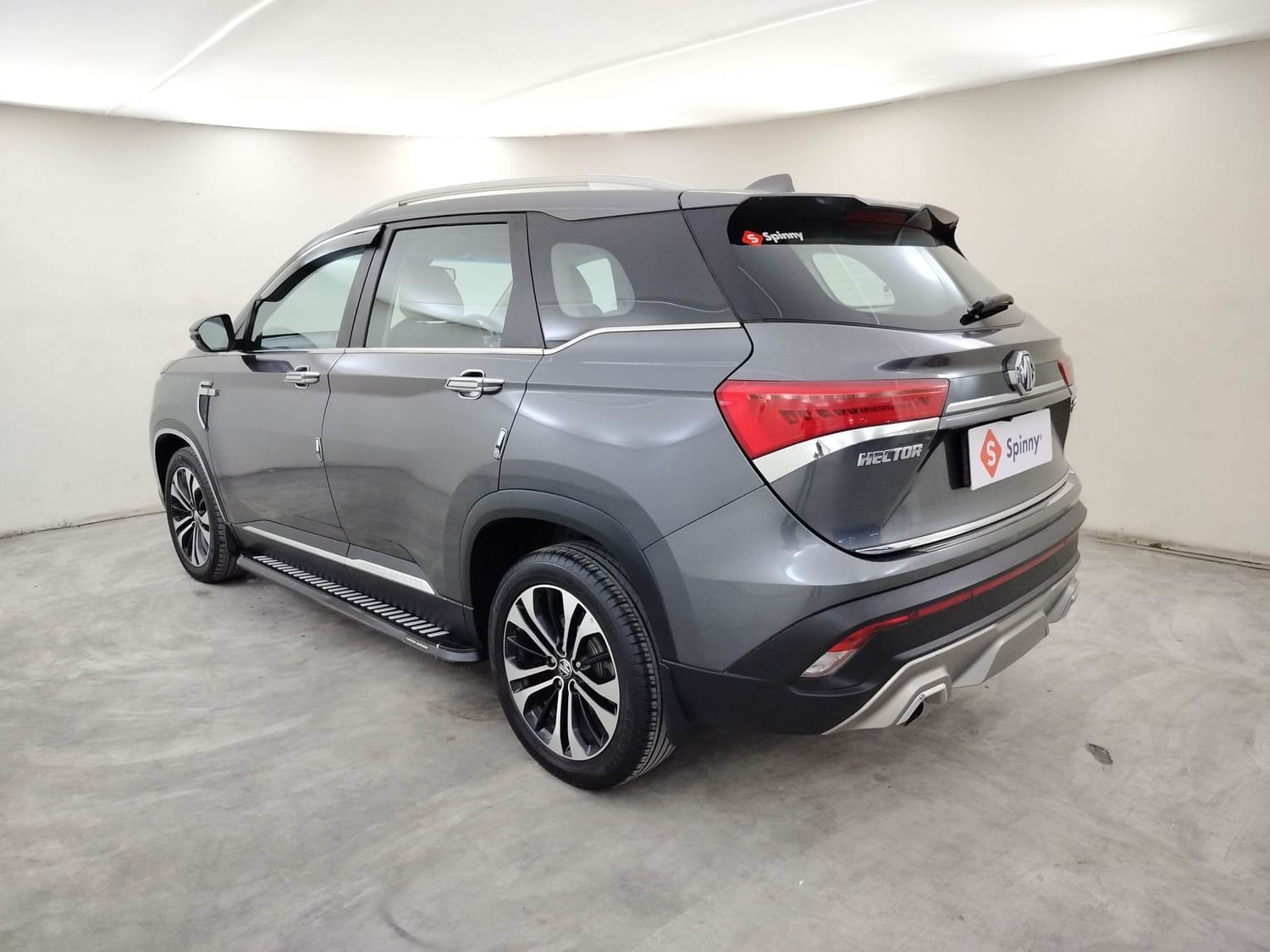 Hector image 3 Hector image 3