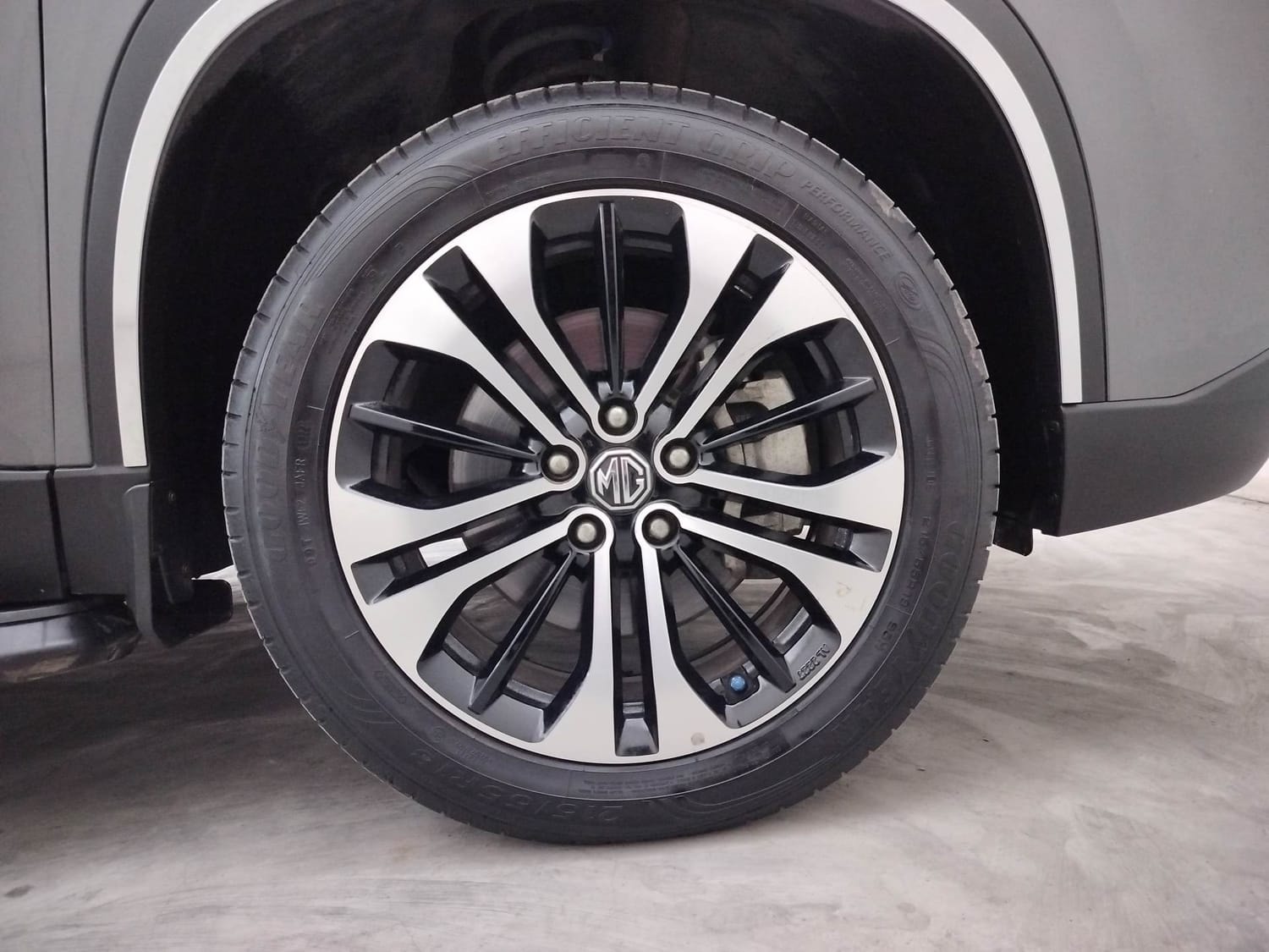 Hector image 32 Hector image 32