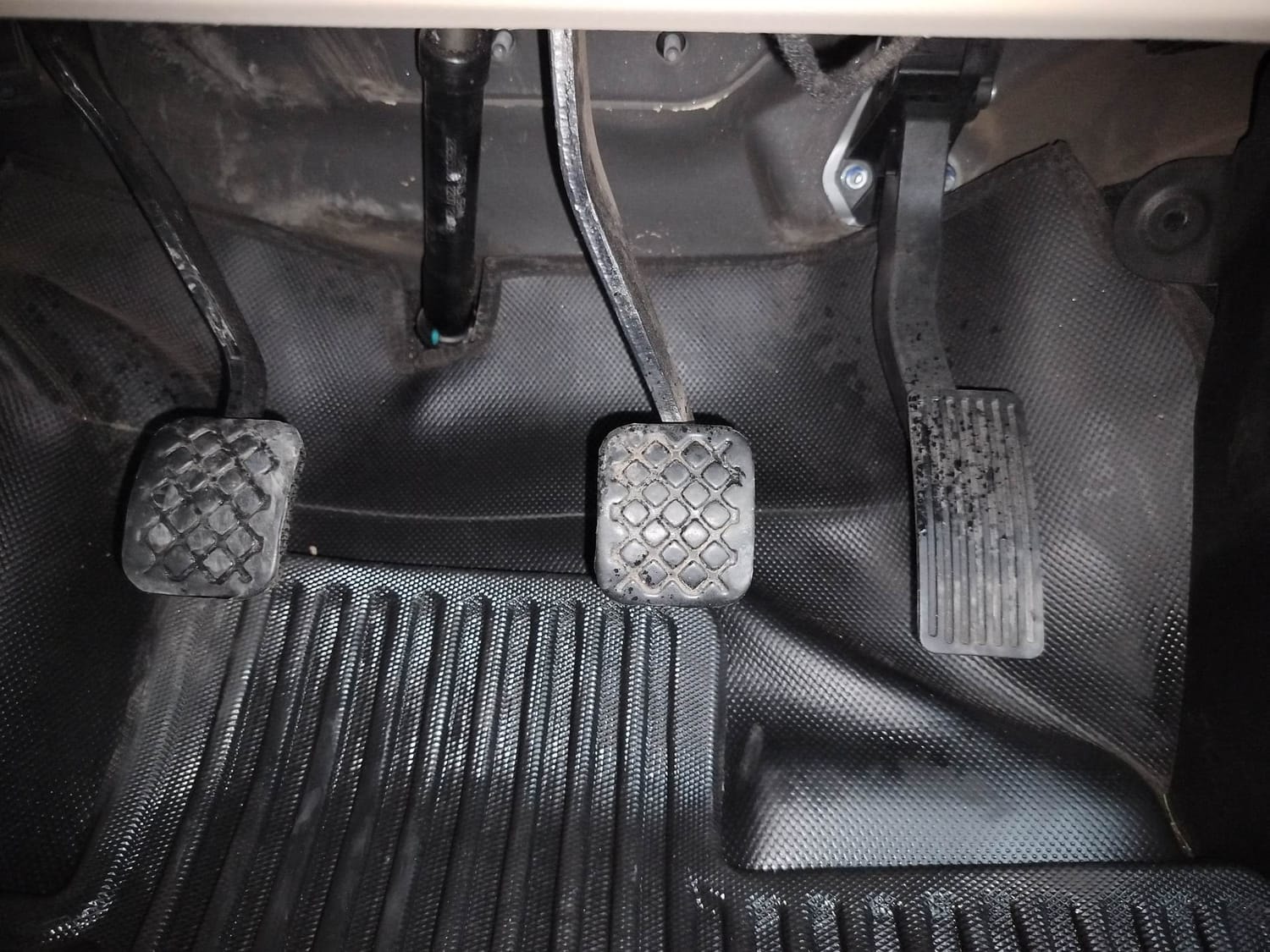 Hector image 26 Hector image 26