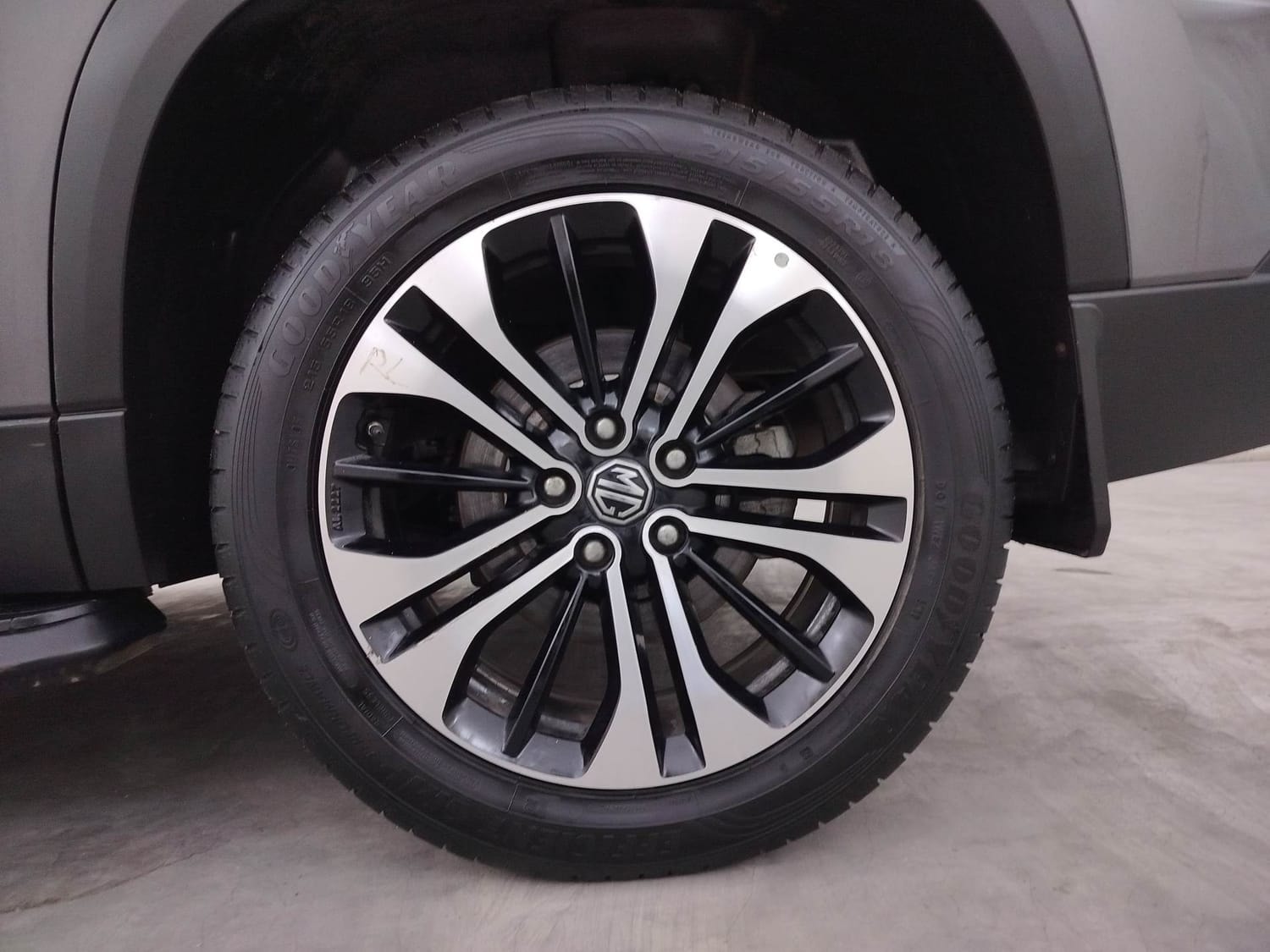 Hector image 35 Hector image 35