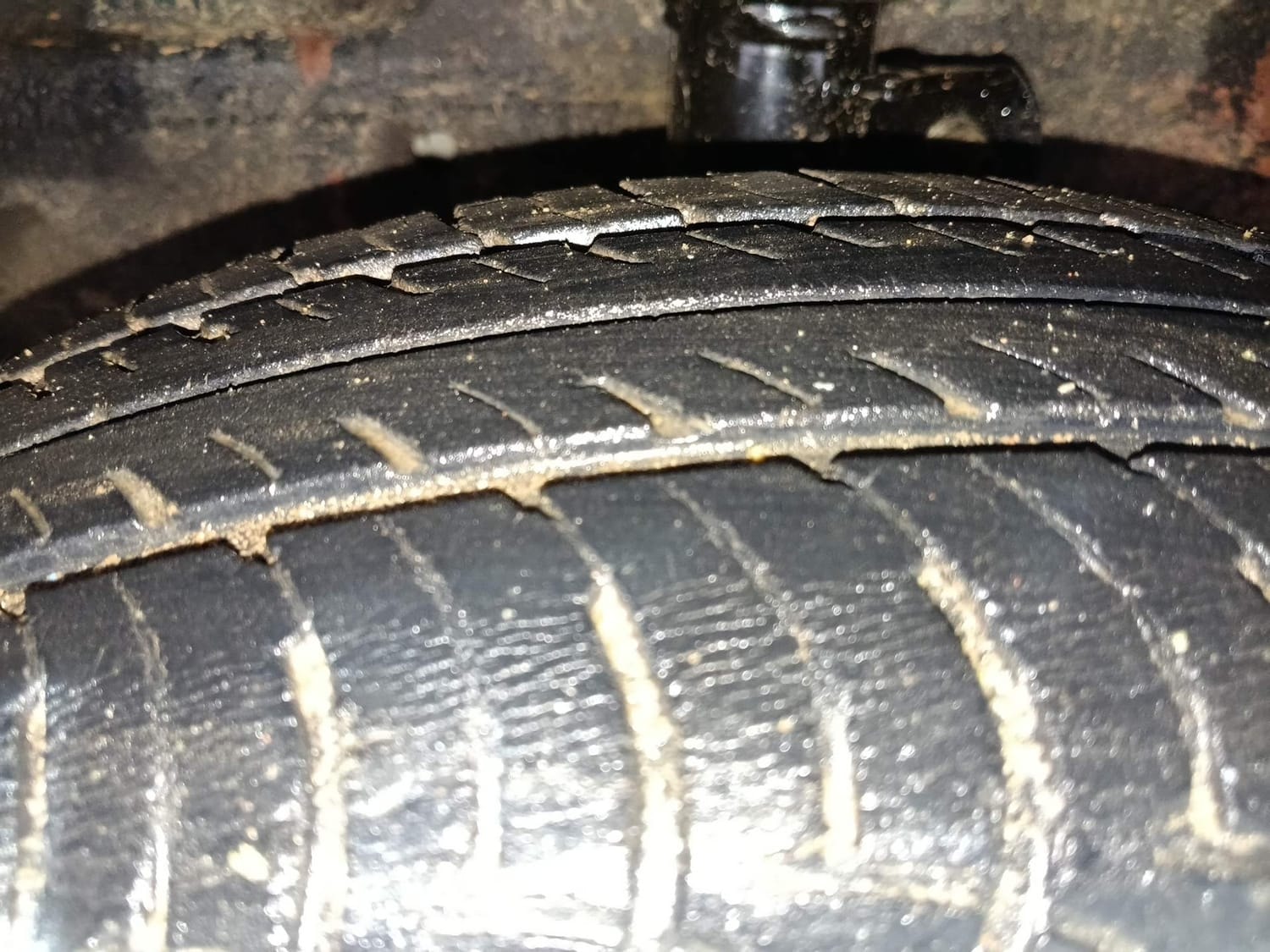 Celerio image 38 Celerio image 38