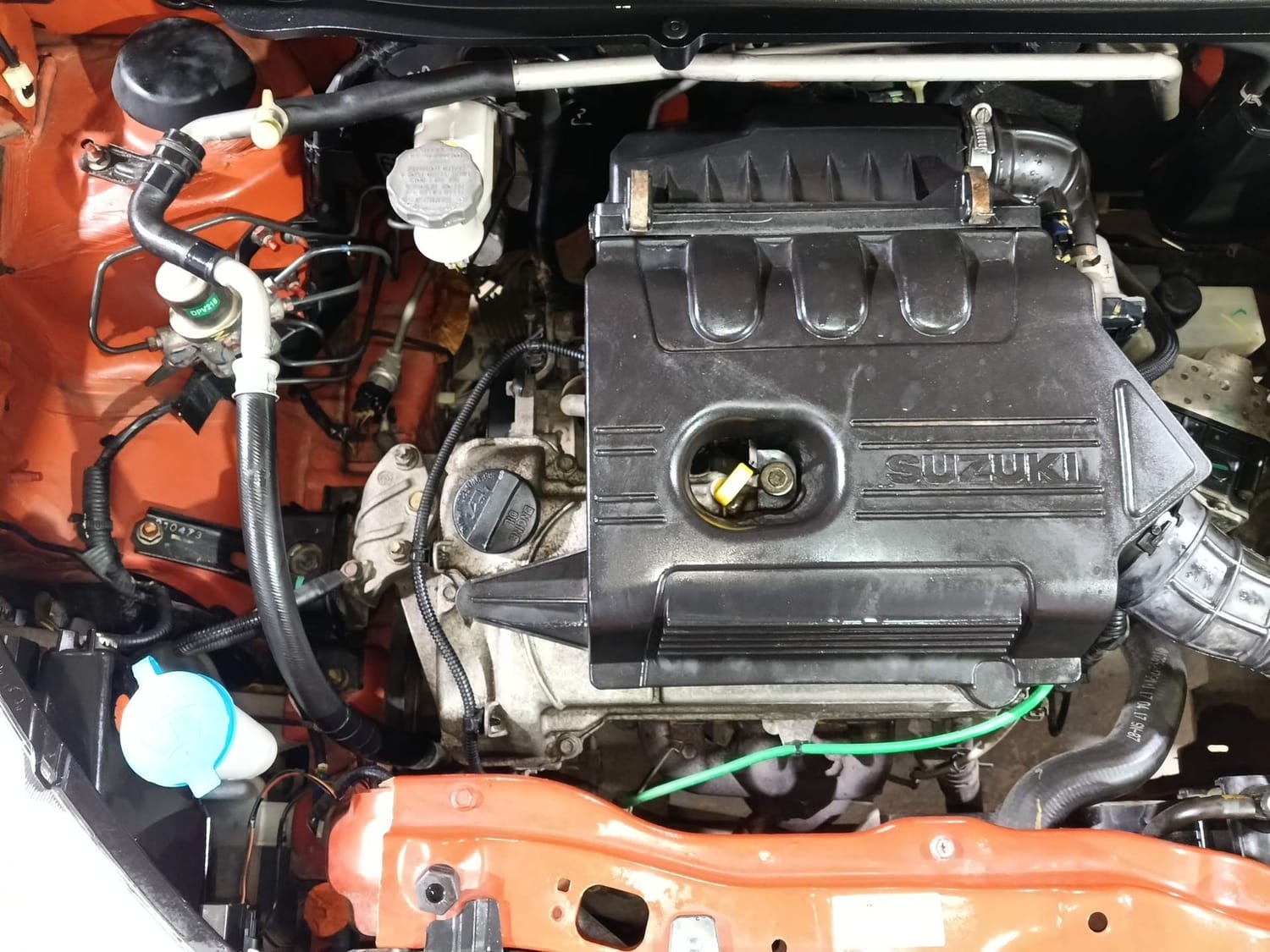 Celerio image 29 Celerio image 29