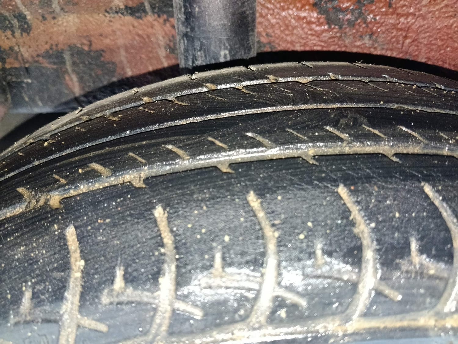 Celerio image 37 Celerio image 37