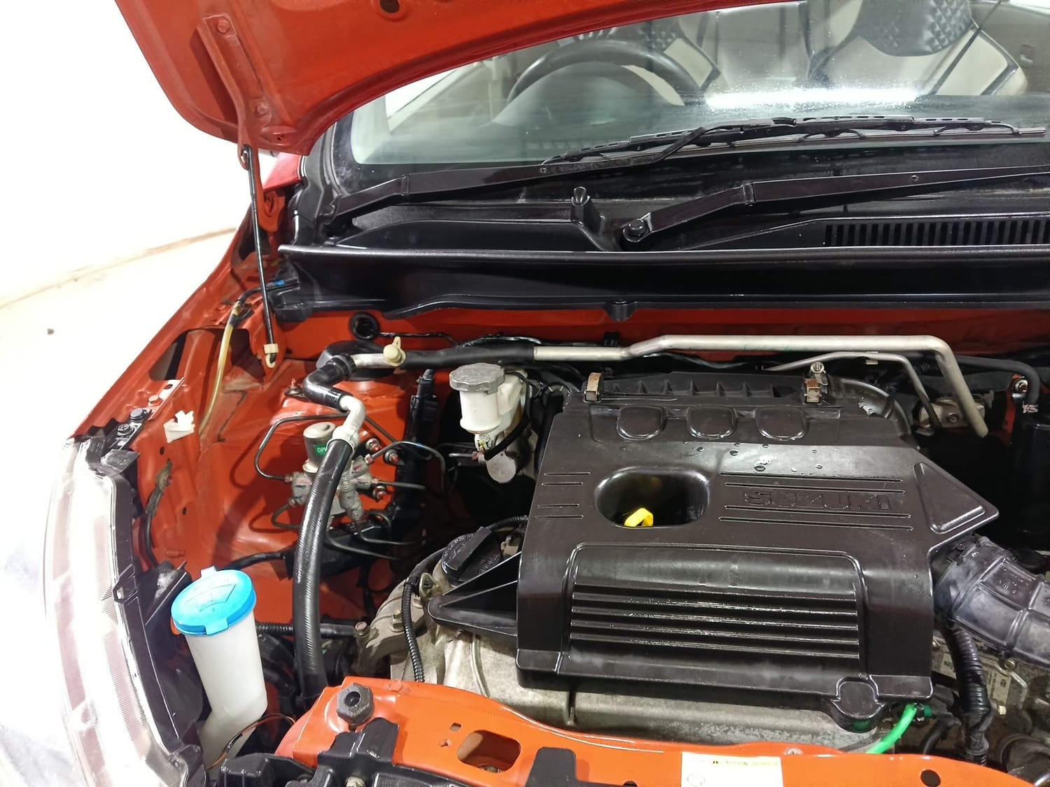 Celerio image 31 Celerio image 31