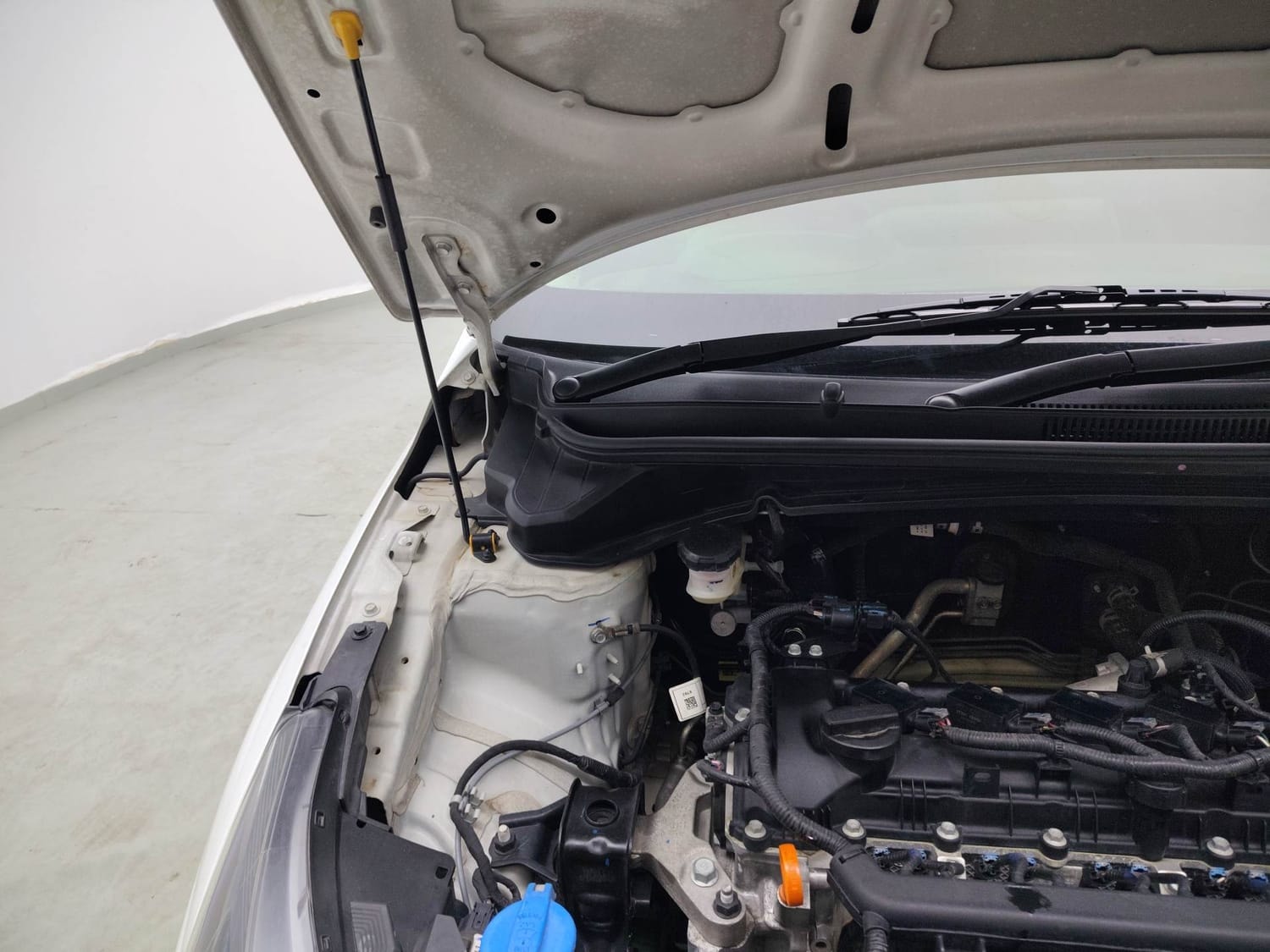 Elite i20 image 31 Elite i20 image 31