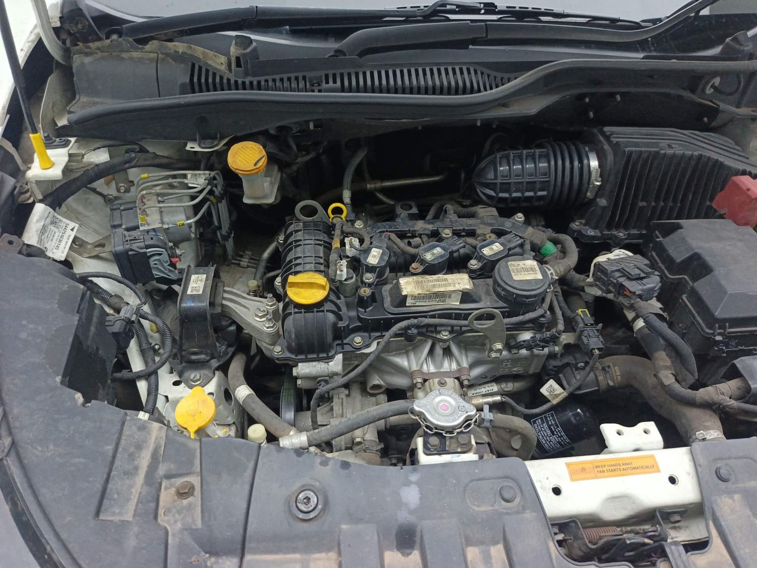 Altroz image 29 Altroz image 29