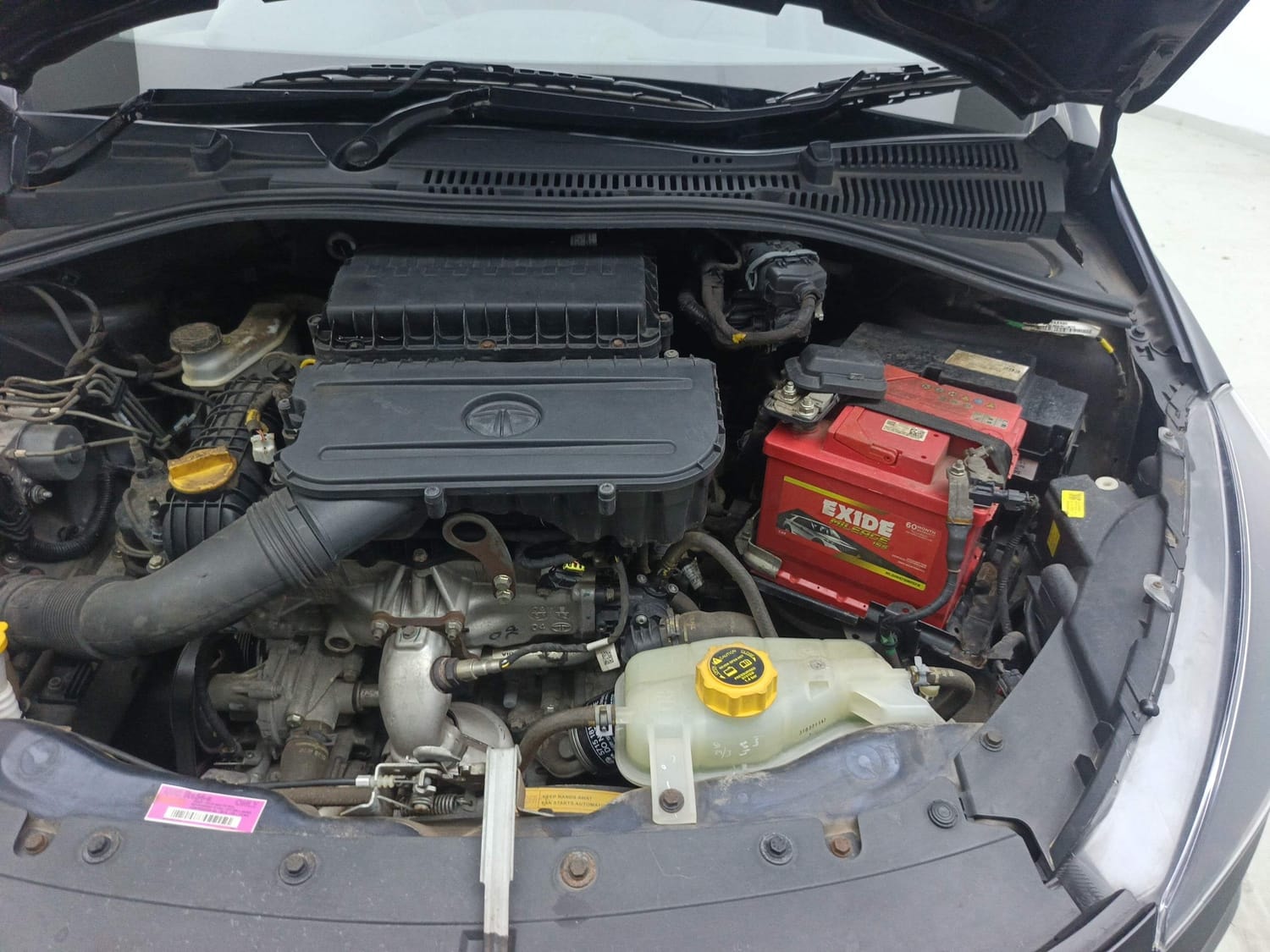 Tiago image 28 Tiago image 28