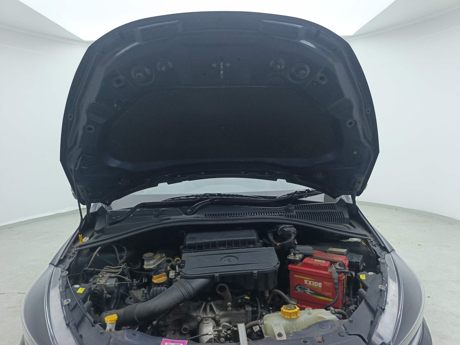 Tiago image 27 Tiago image 27