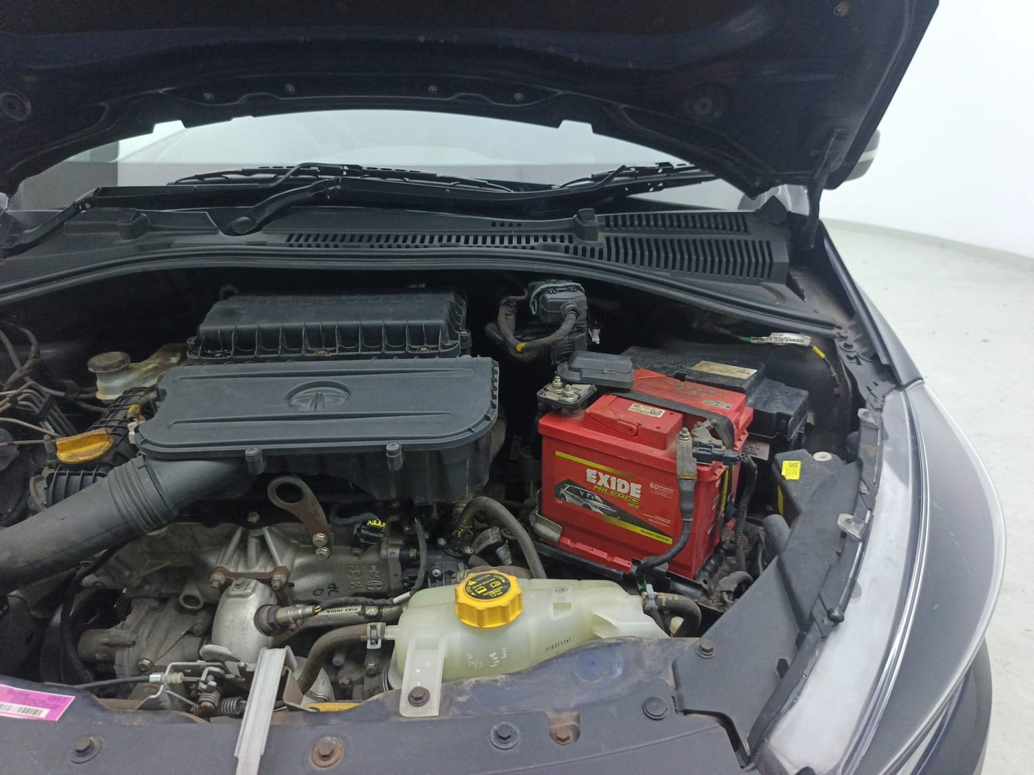 Tiago image 30 Tiago image 30