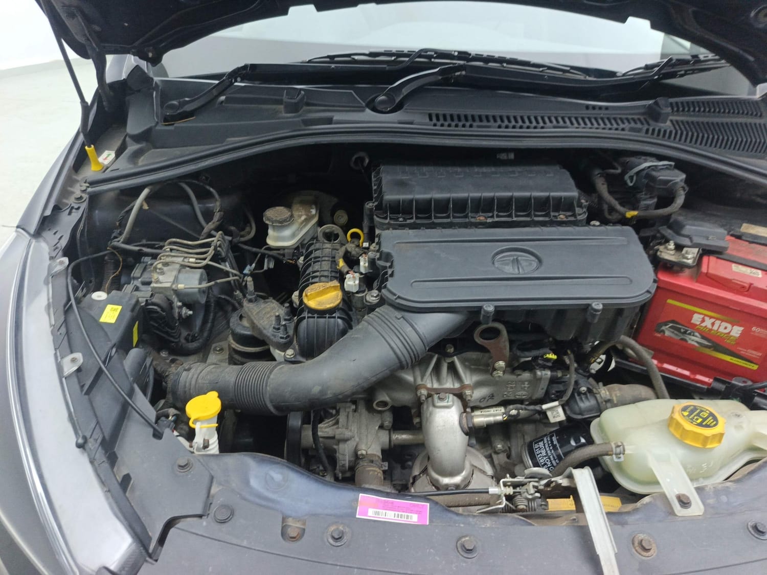 Tiago image 29 Tiago image 29