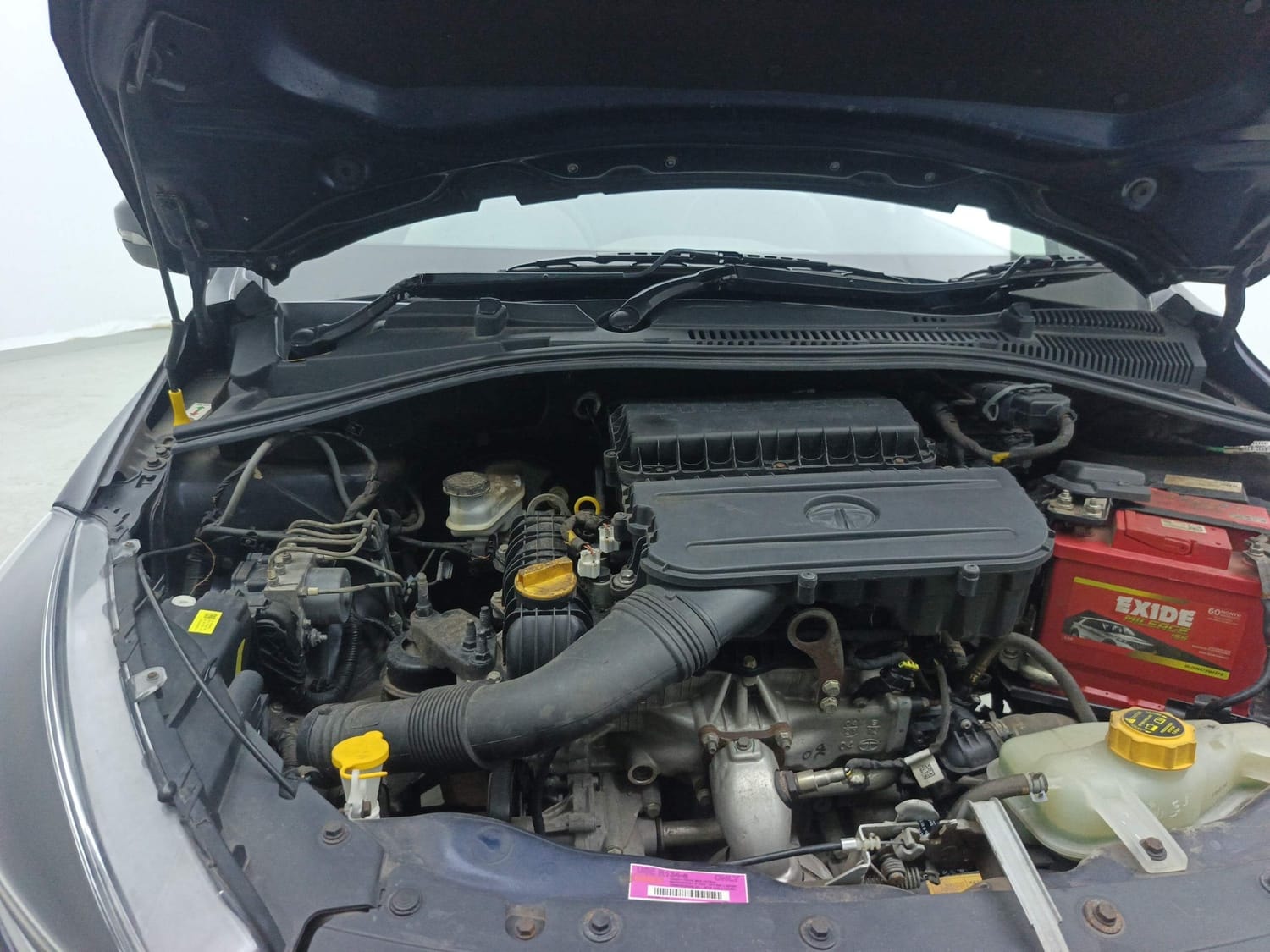 Tiago image 31 Tiago image 31