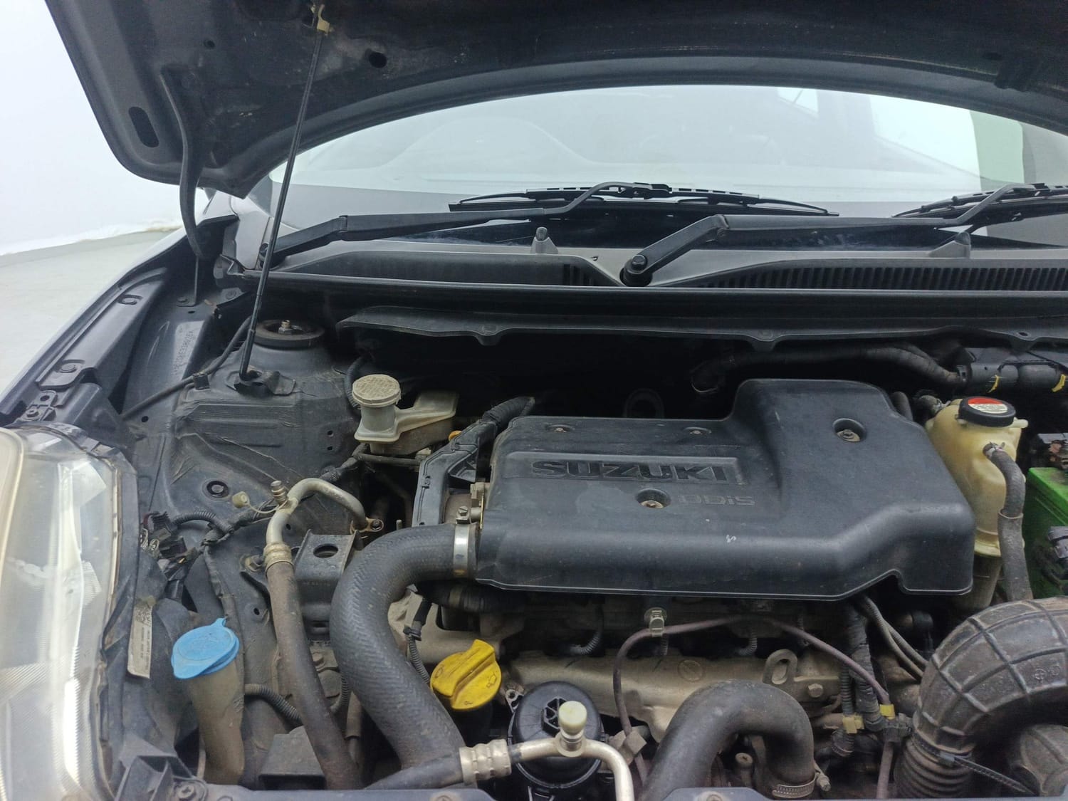 Baleno image 31 Baleno image 31