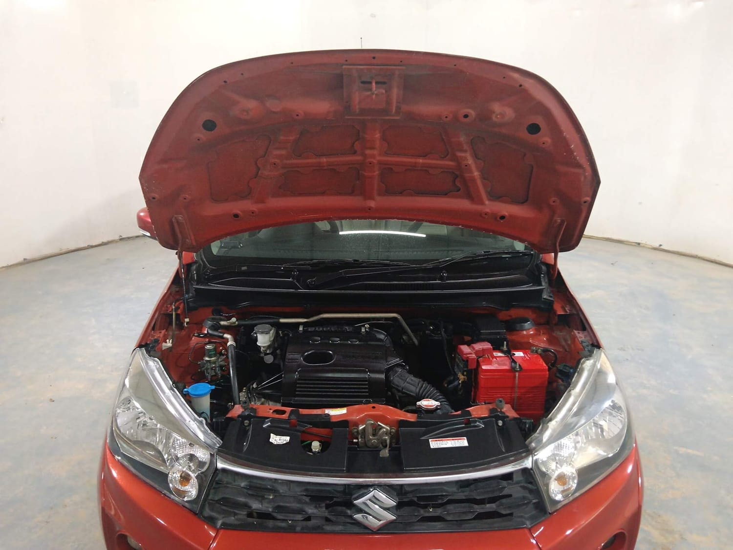 Celerio image 27 Celerio image 27