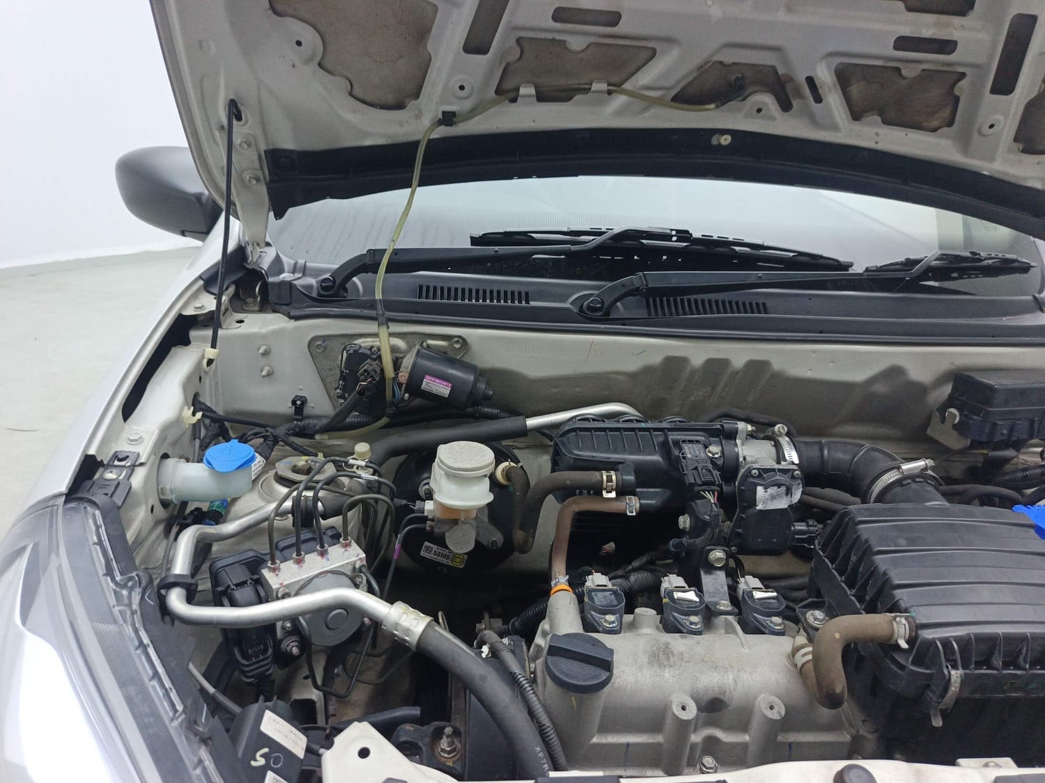 Alto 800 image 31 Alto 800 image 31