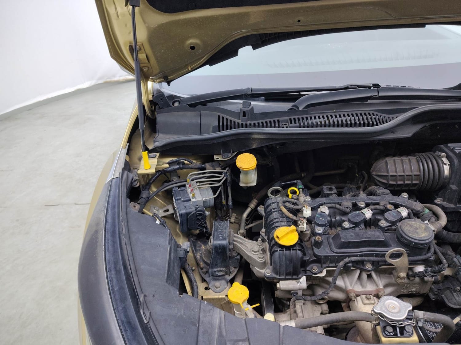 Altroz image 31 Altroz image 31