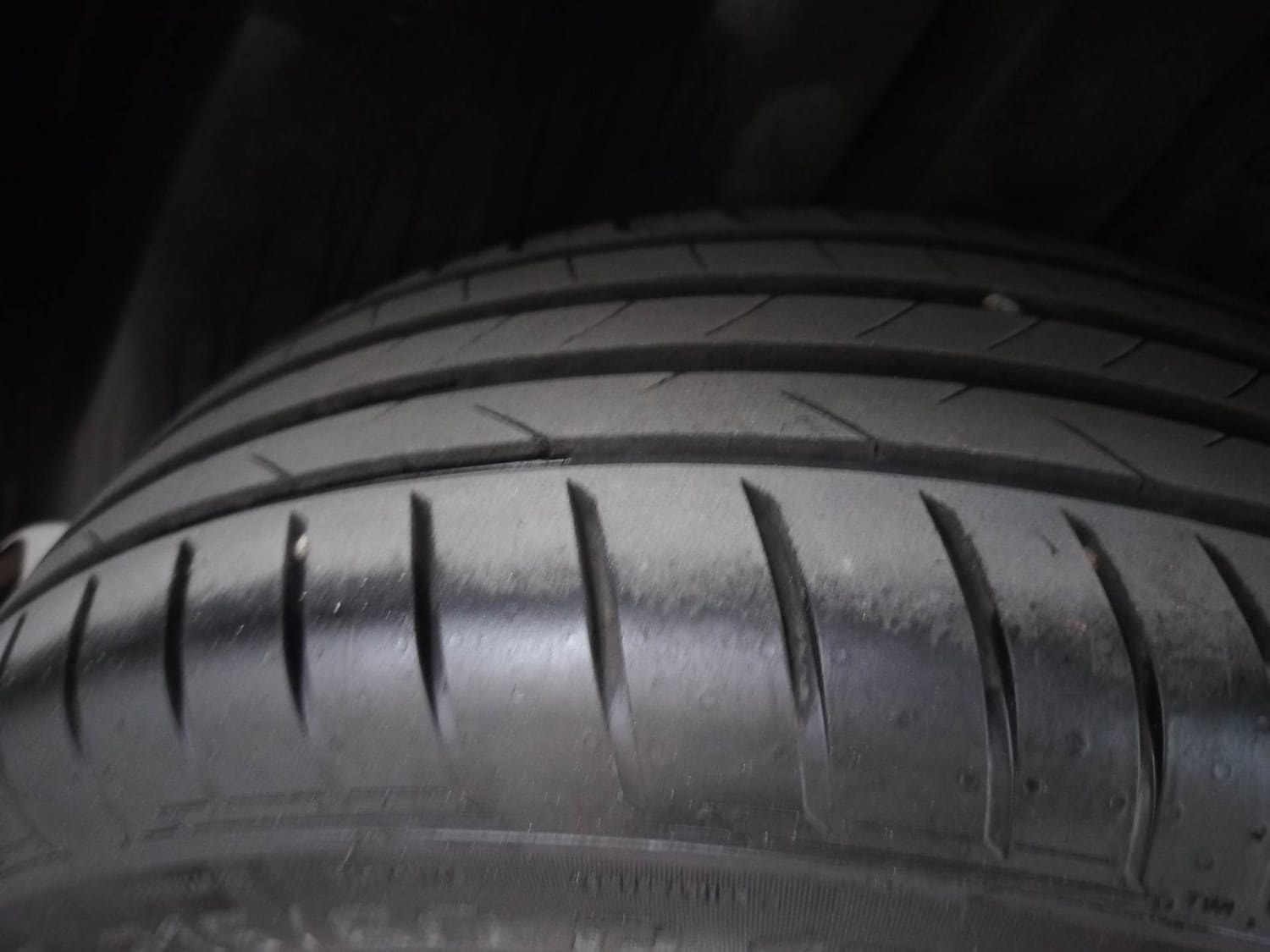 Hector image 37 Hector image 37