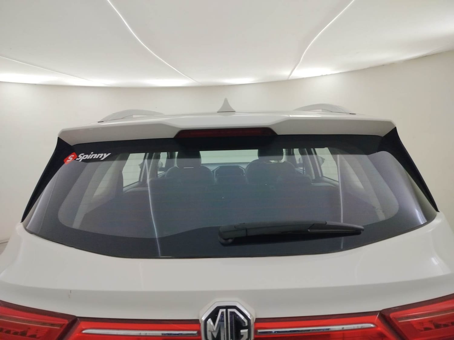 Hector image 10 Hector image 10