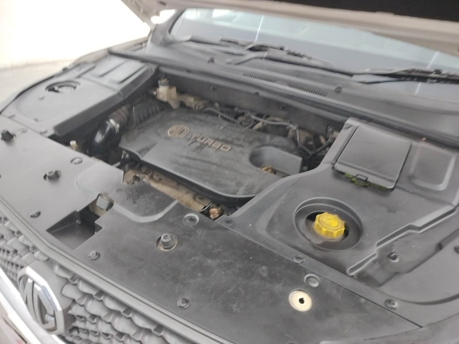 Hector image 28 Hector image 28