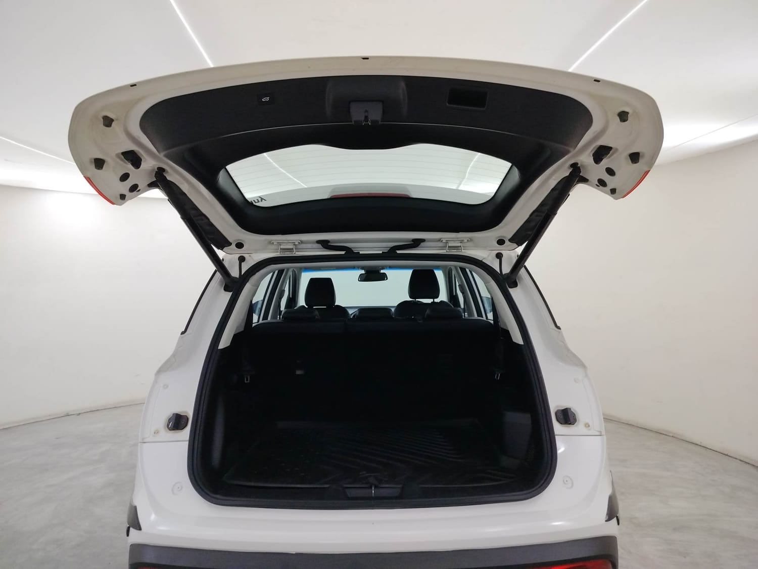 Hector image 24 Hector image 24