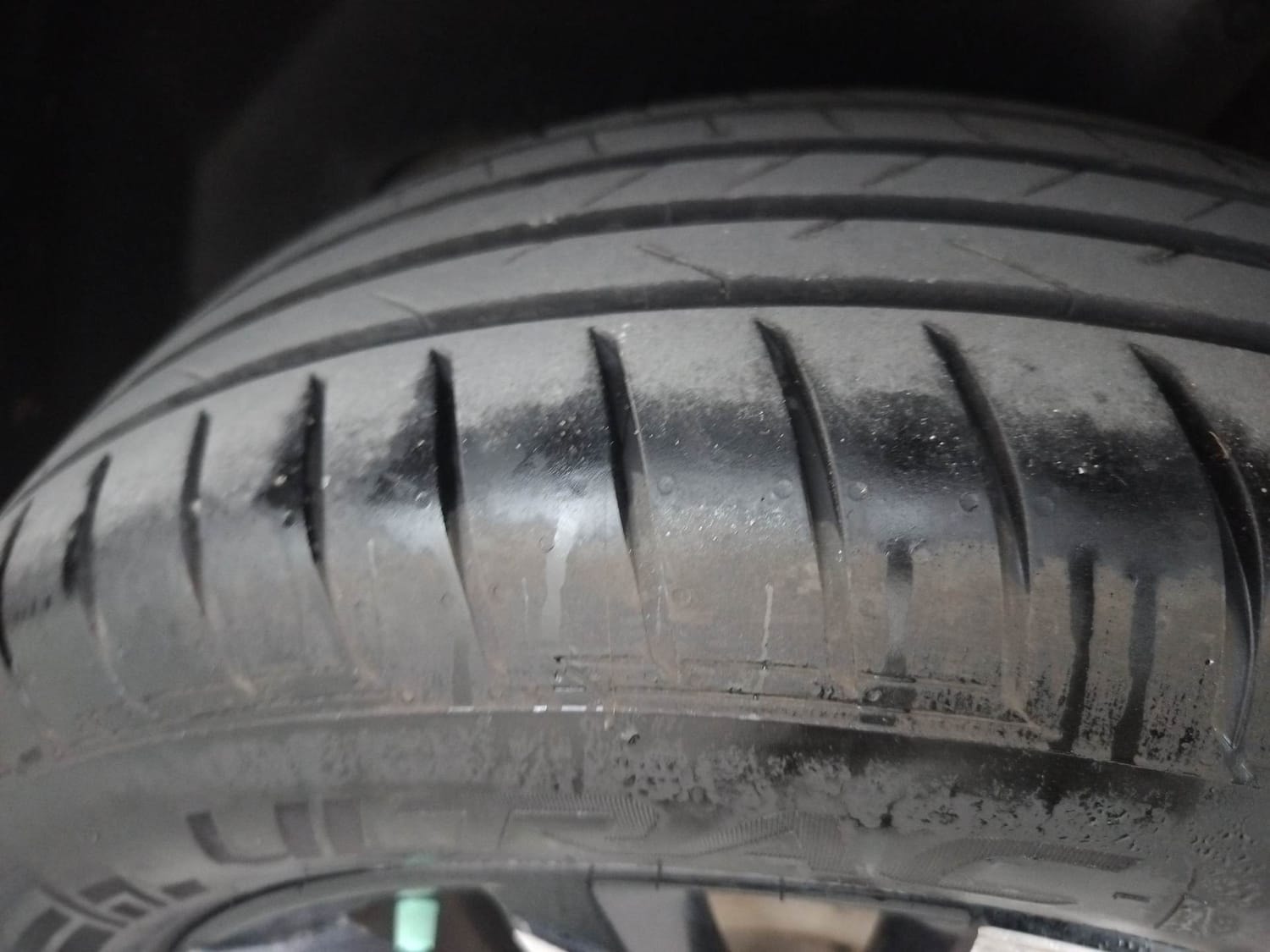 Hector image 39 Hector image 39