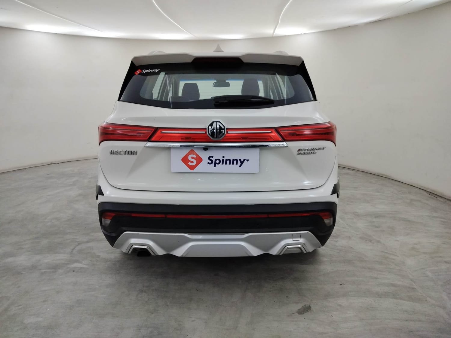 Hector image 4 Hector image 4