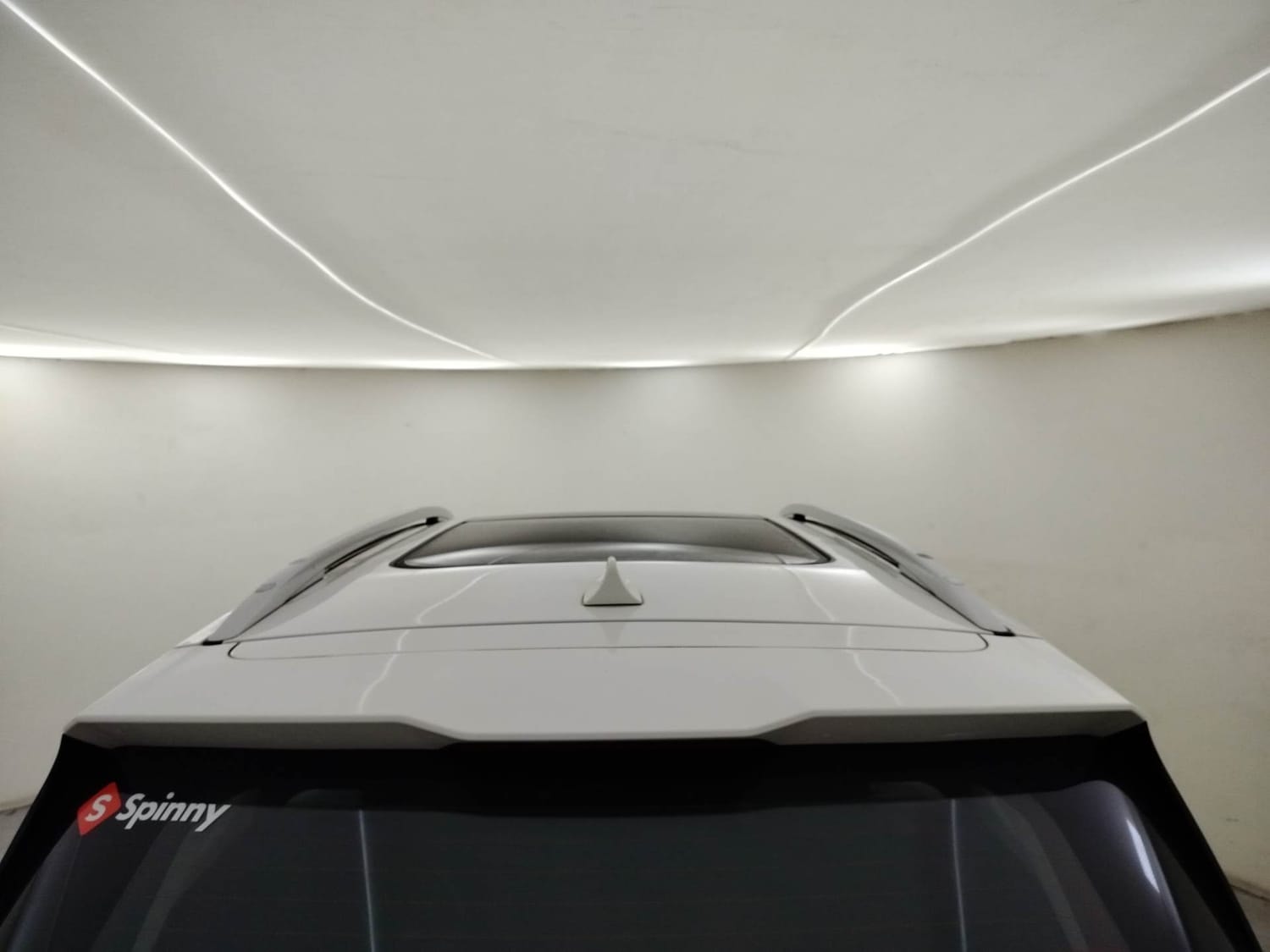 Hector image 11 Hector image 11