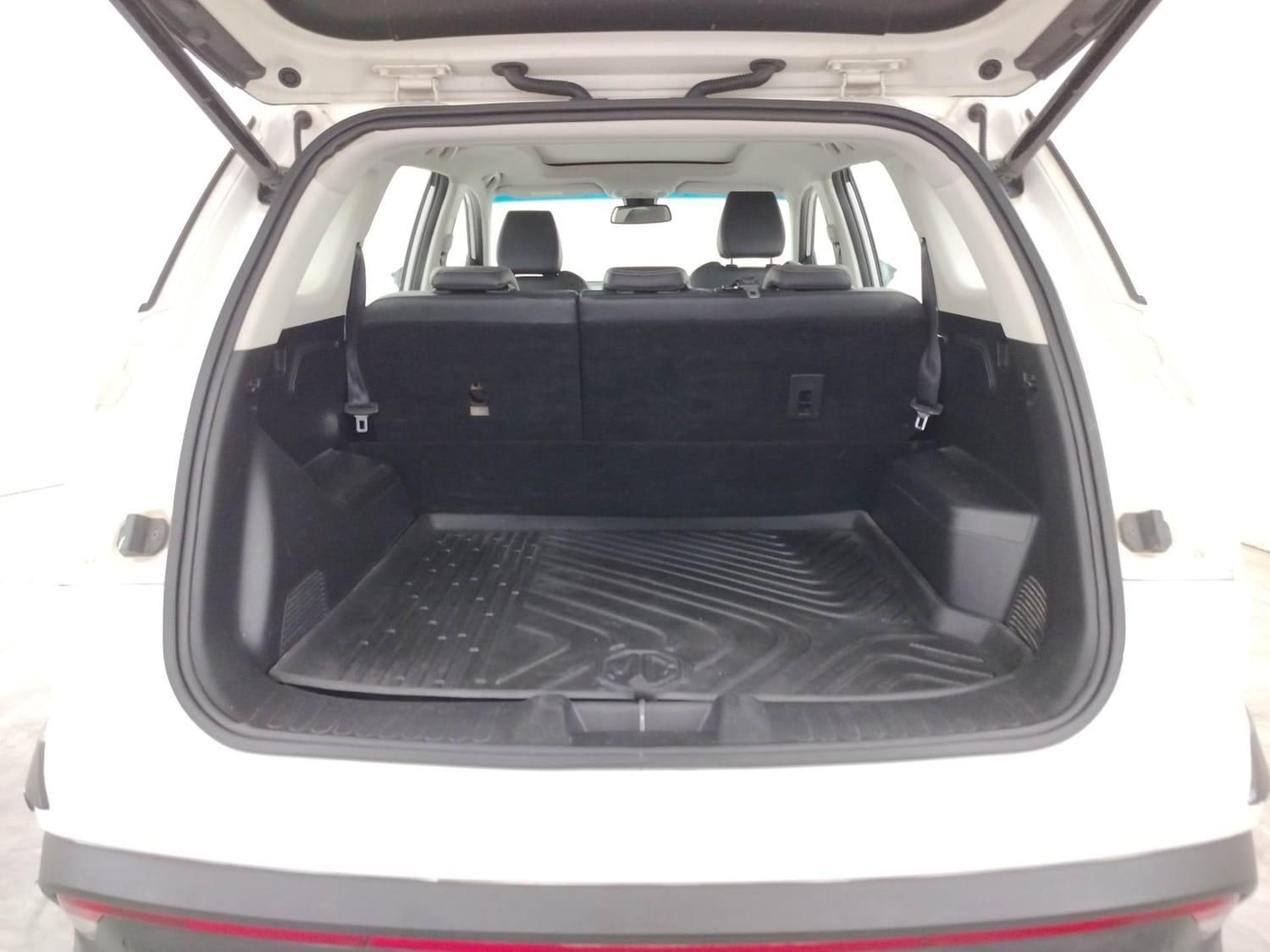 Hector image 25 Hector image 25