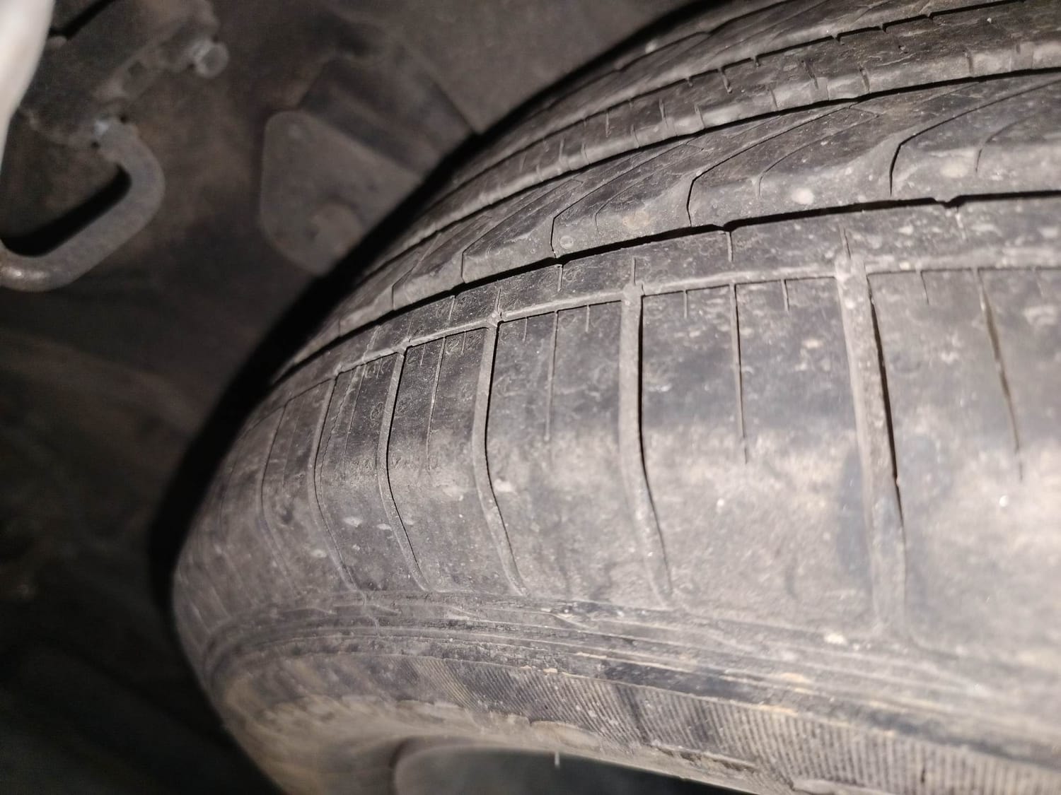 Hector image 40 Hector image 40