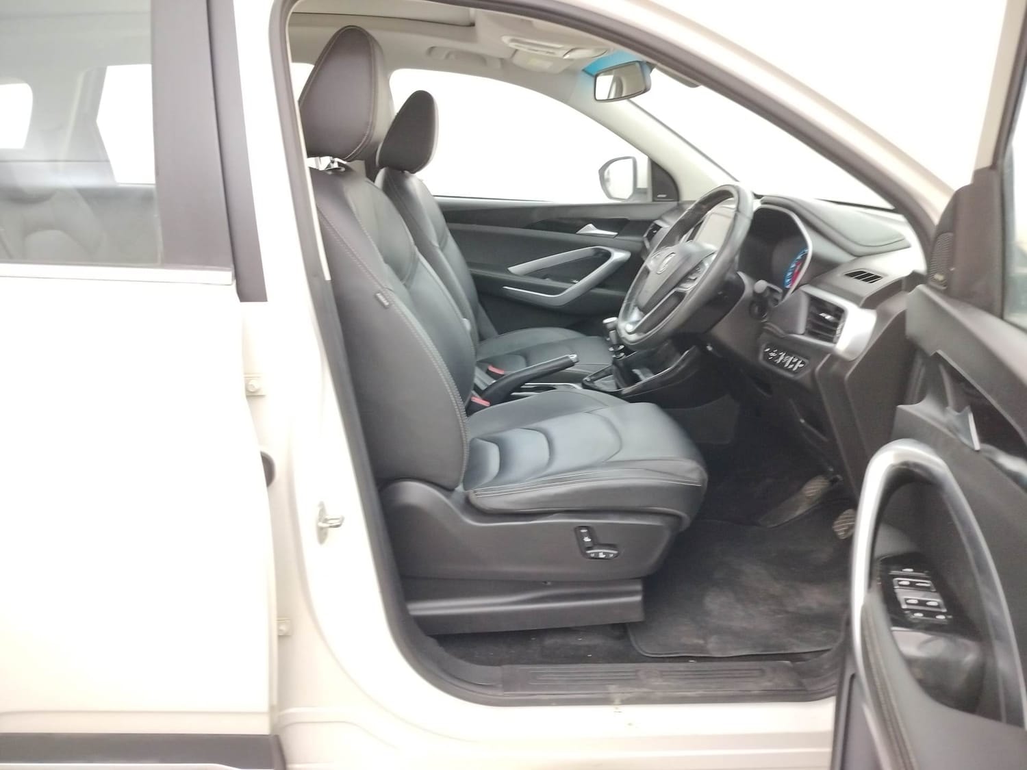 Hector image 17 Hector image 17