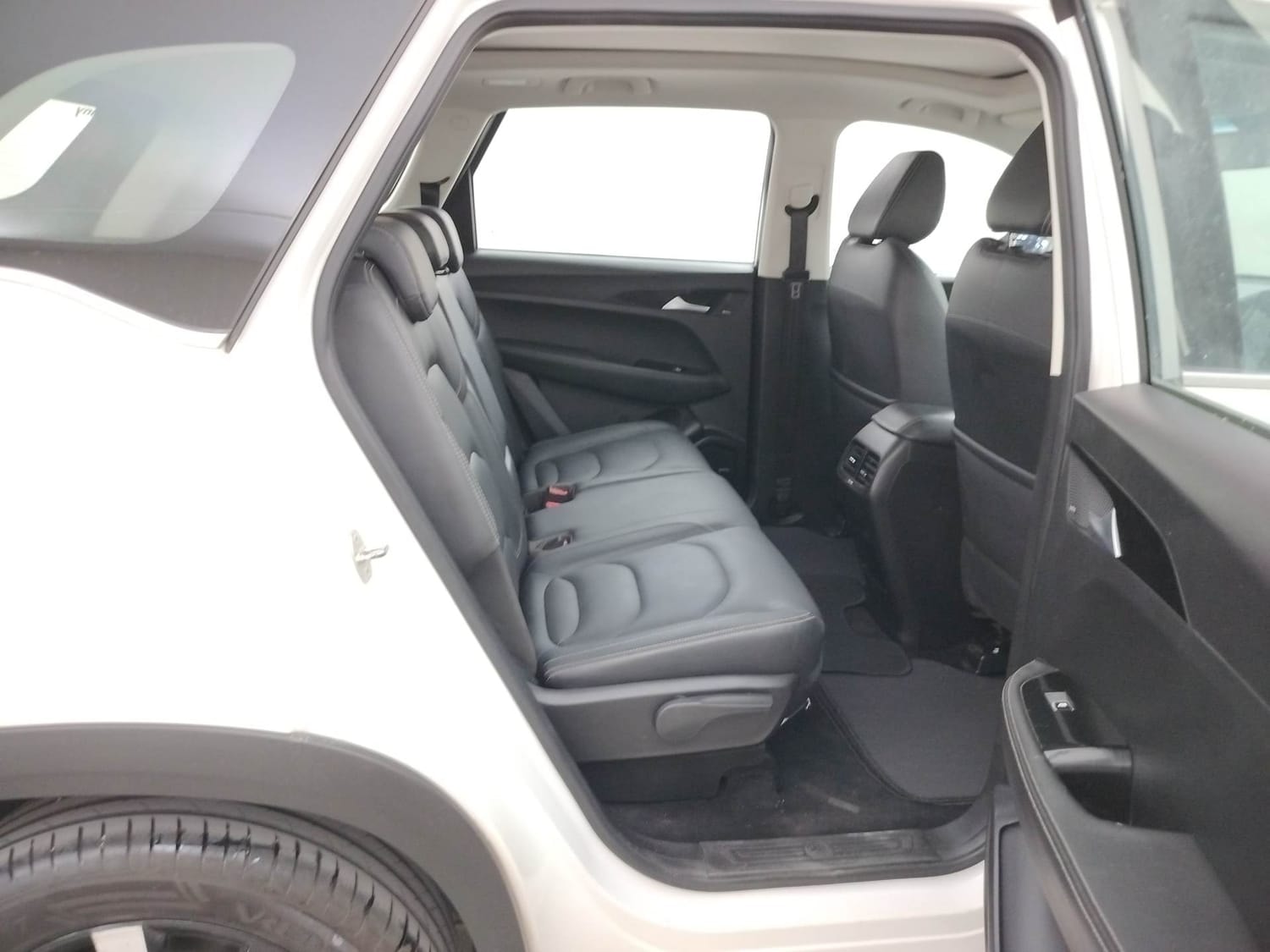 Hector image 18 Hector image 18