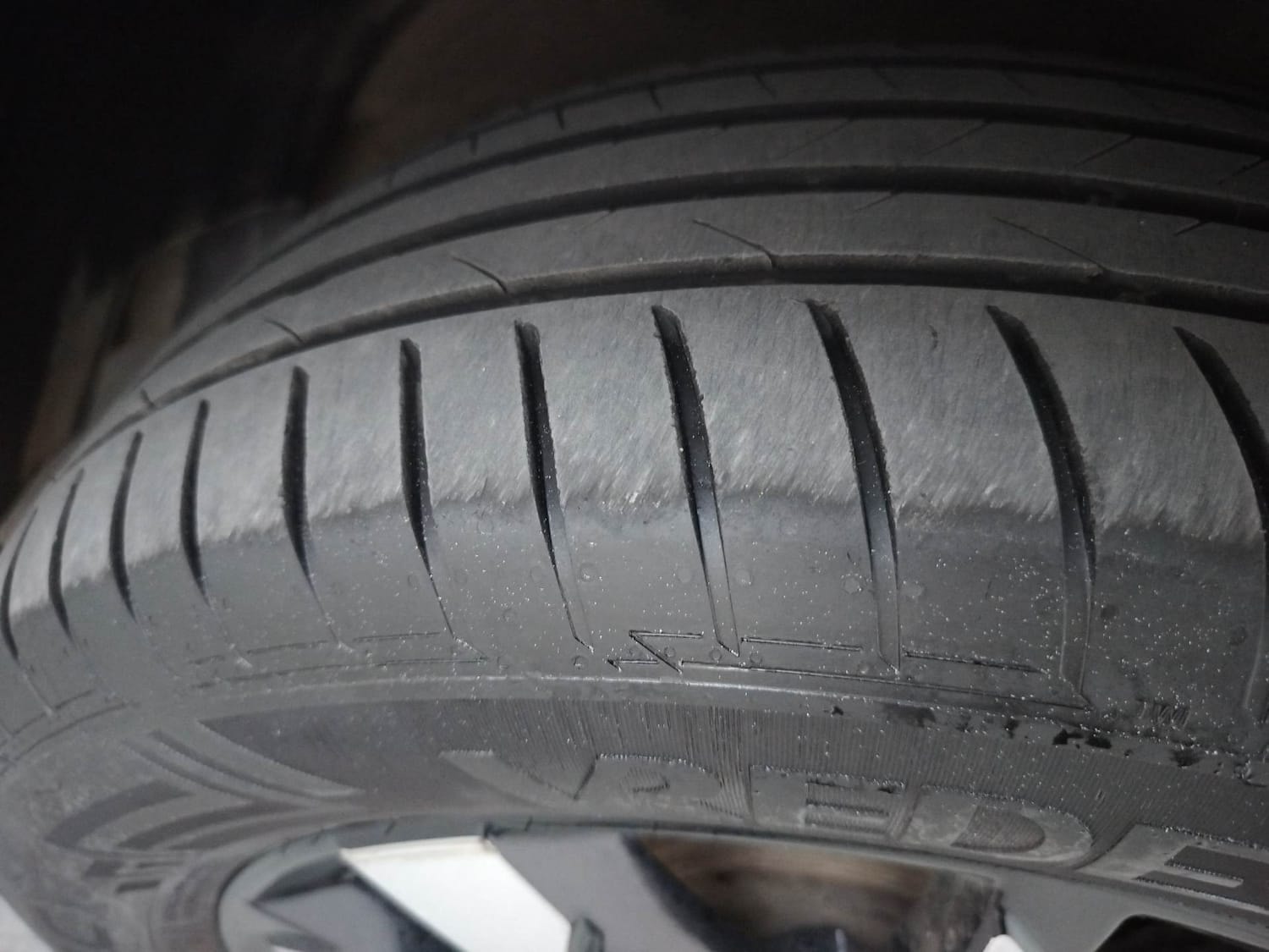 Hector image 36 Hector image 36