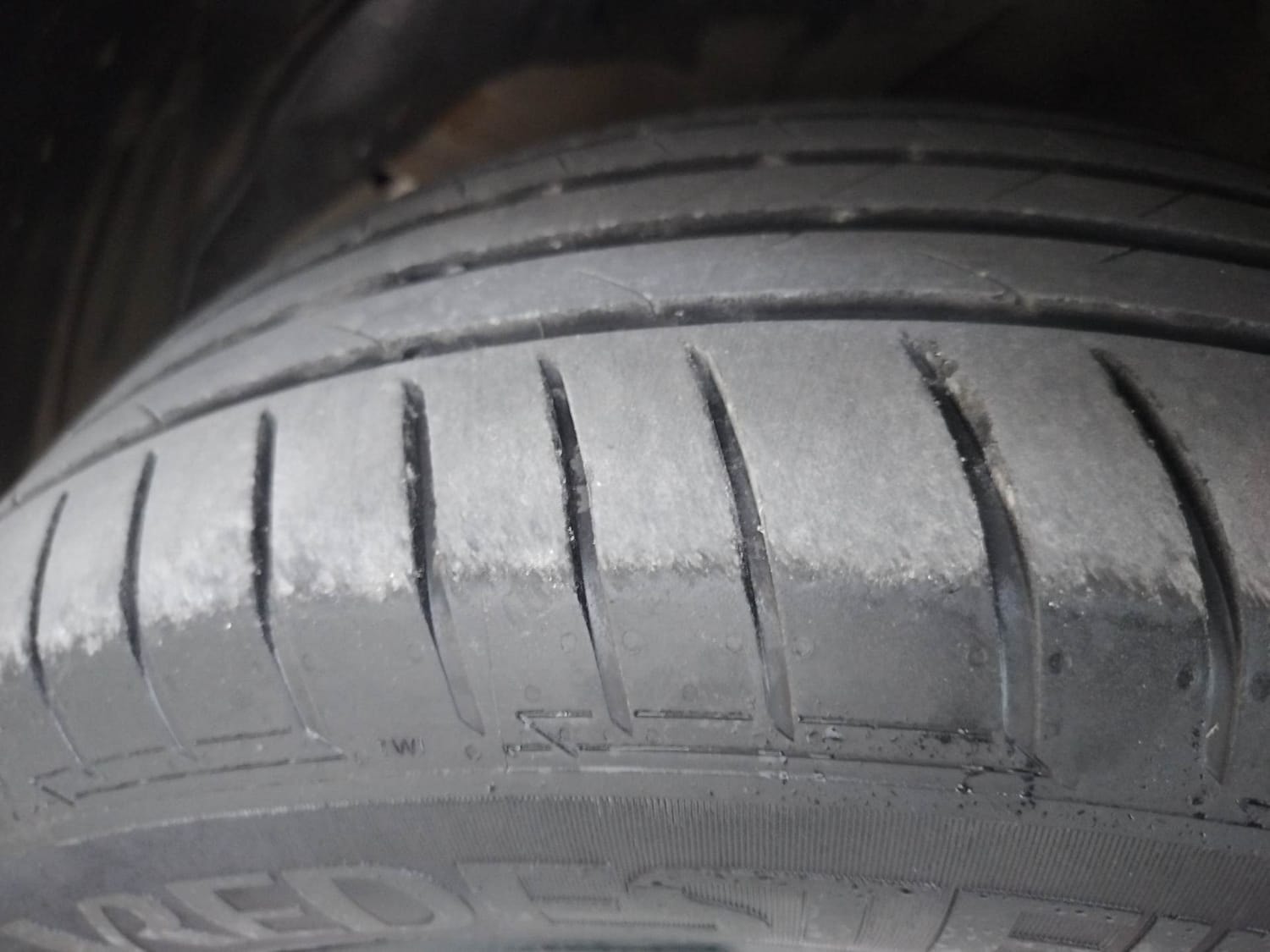 Hector image 38 Hector image 38