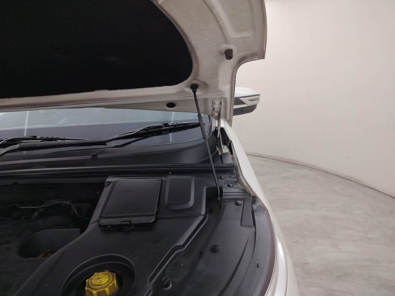 Hector image 30 Hector image 30