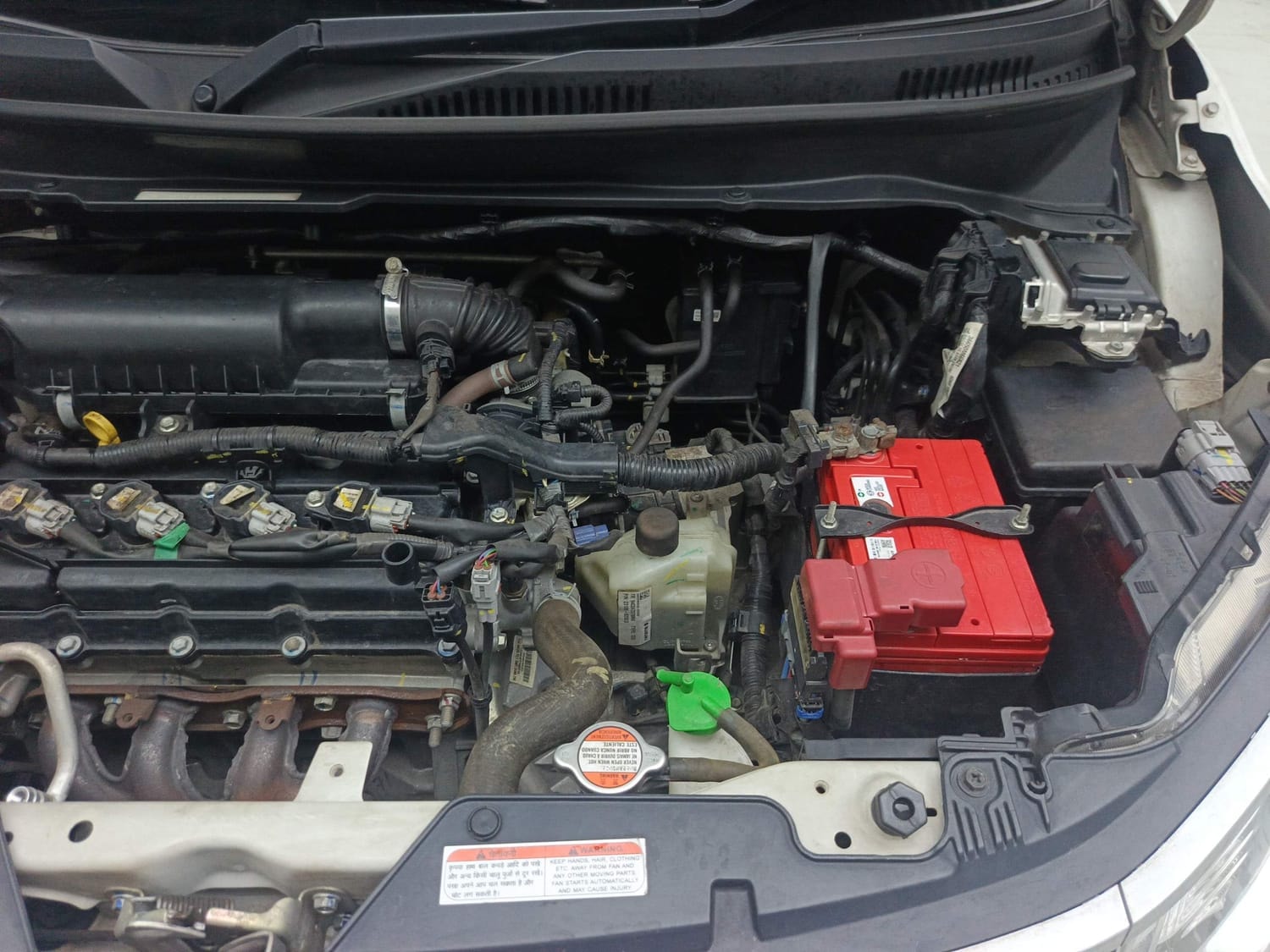 Ignis image 28 Ignis image 28