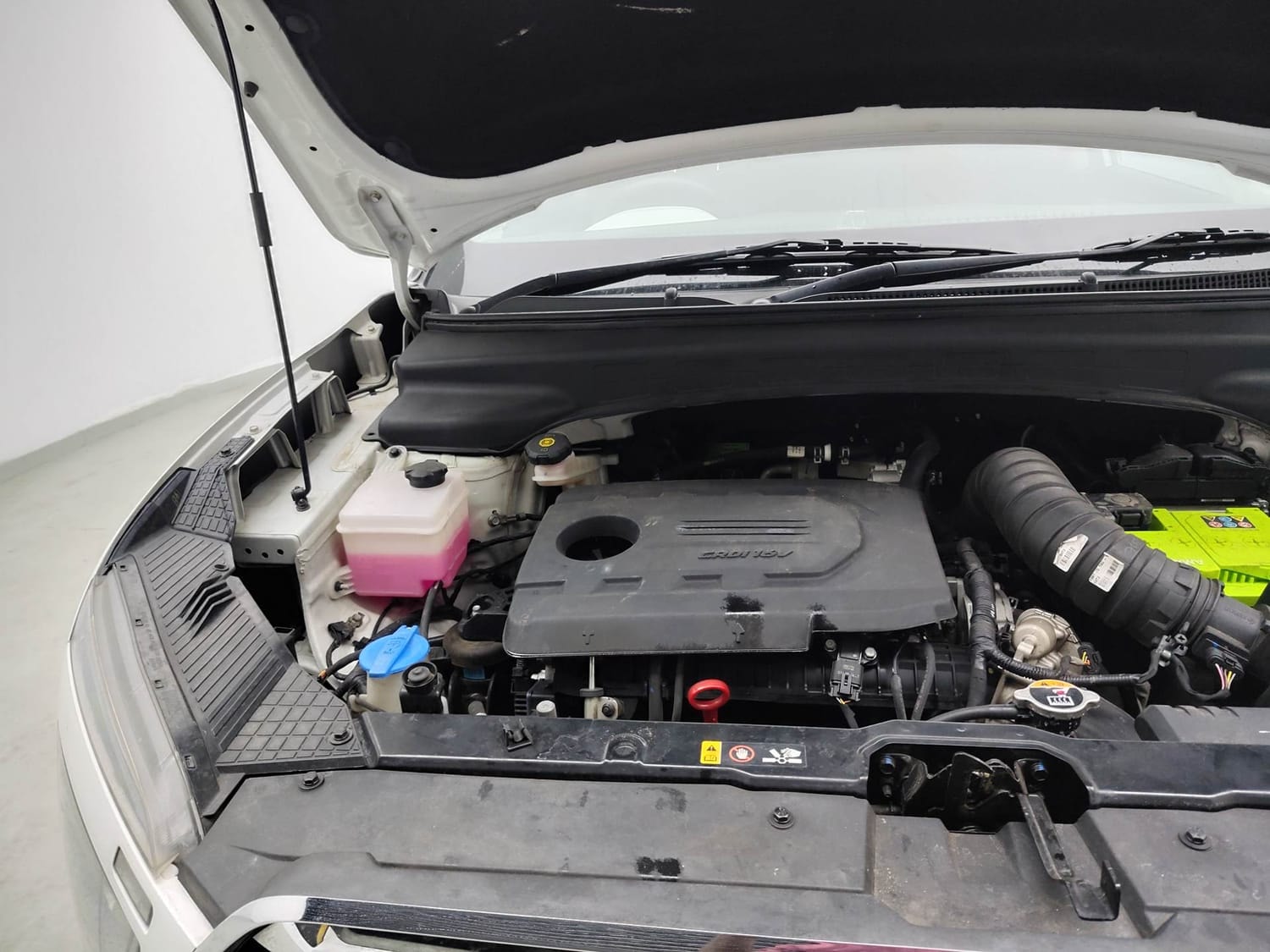 Creta image 29 Creta image 29