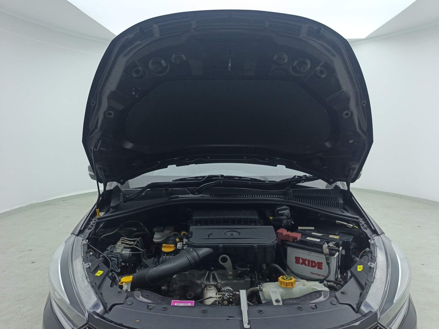 Tiago image 27 Tiago image 27