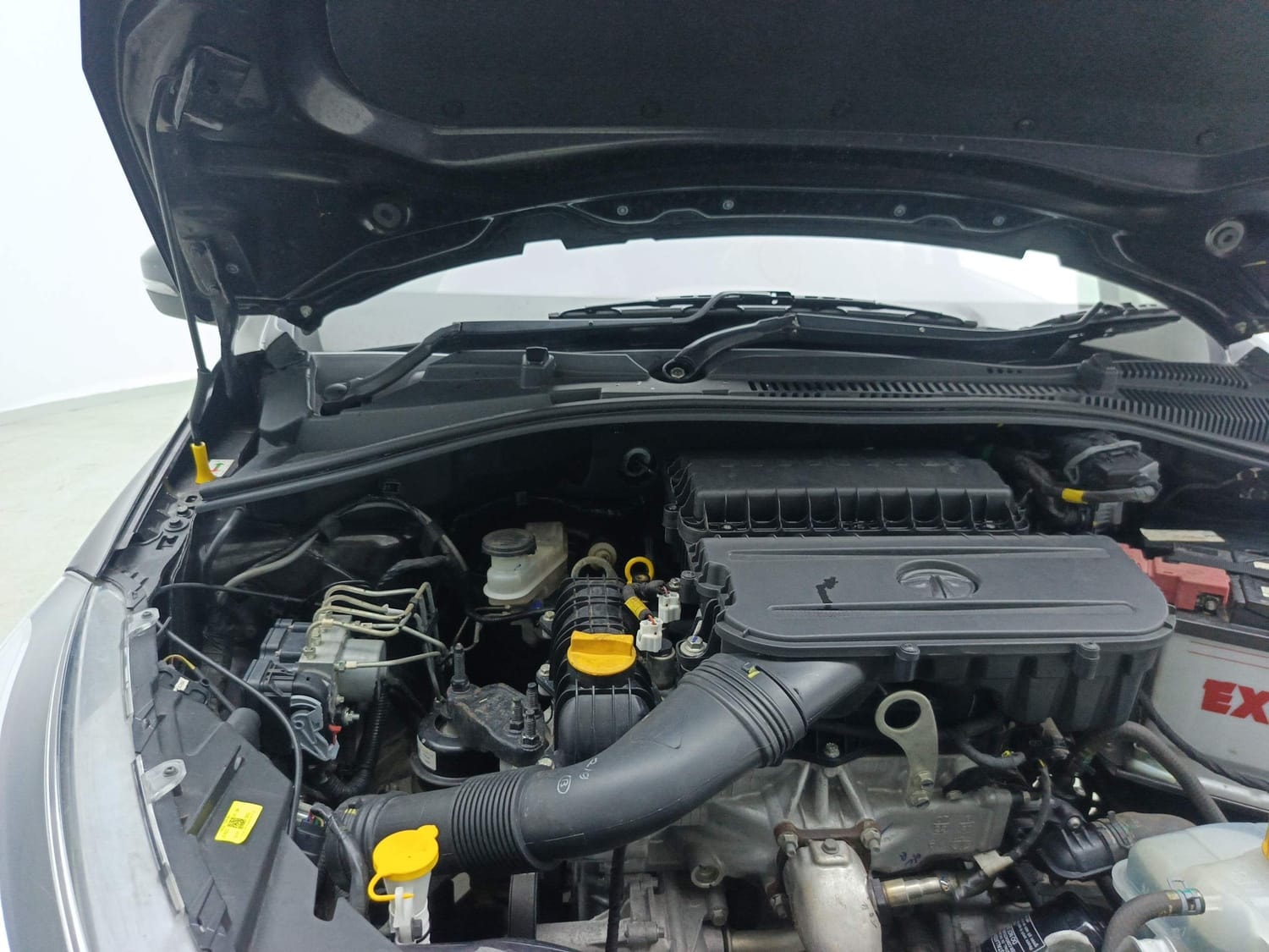 Tiago image 31 Tiago image 31