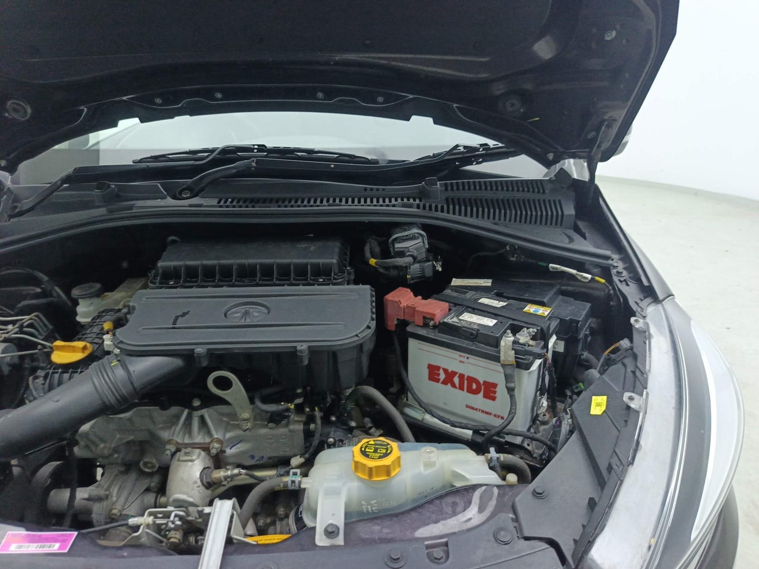 Tiago image 30 Tiago image 30