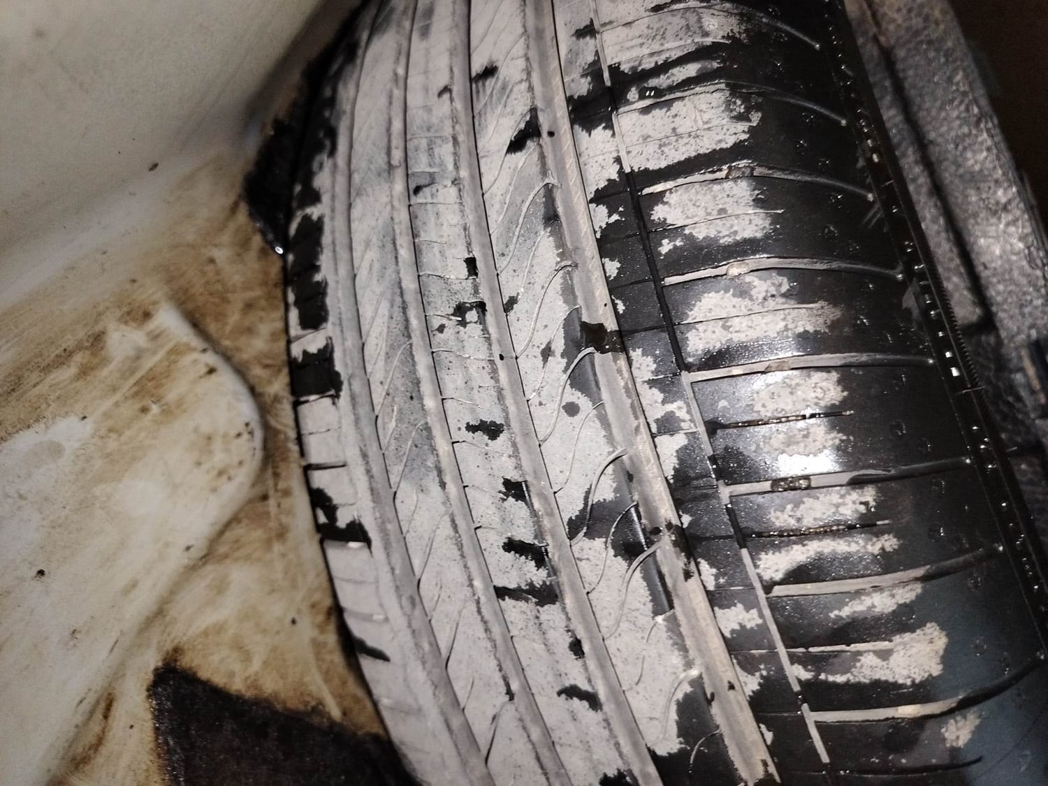 Virtus image 40 Virtus image 40