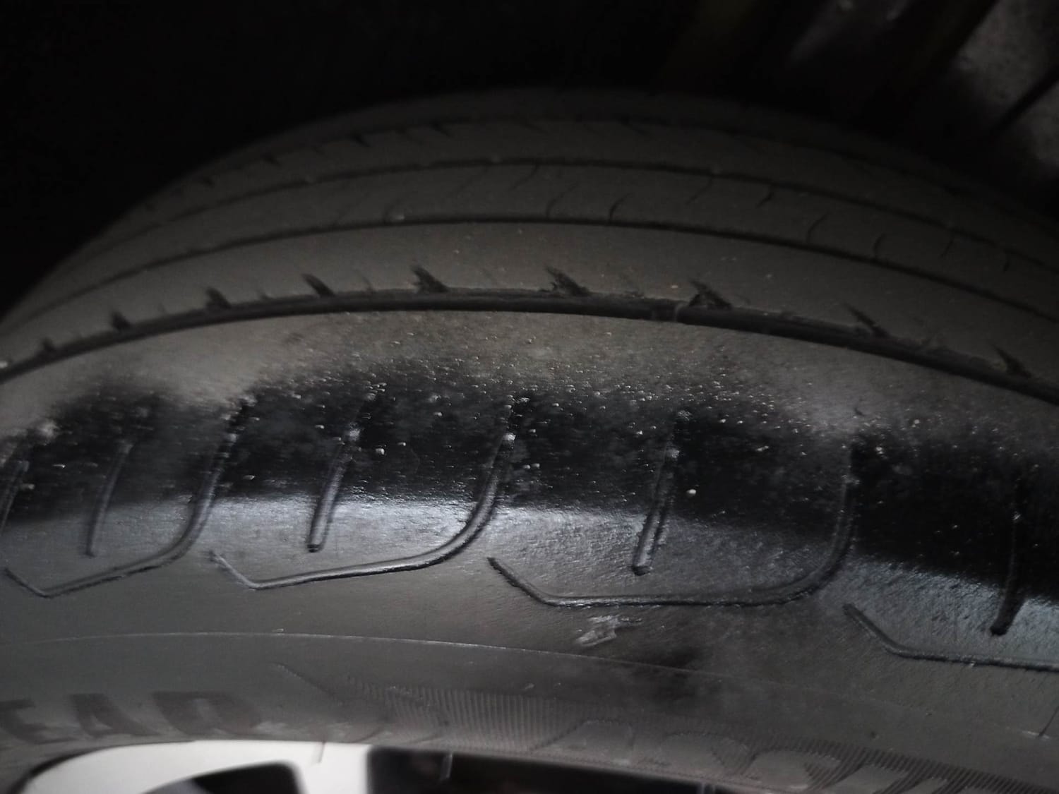 Virtus image 37 Virtus image 37