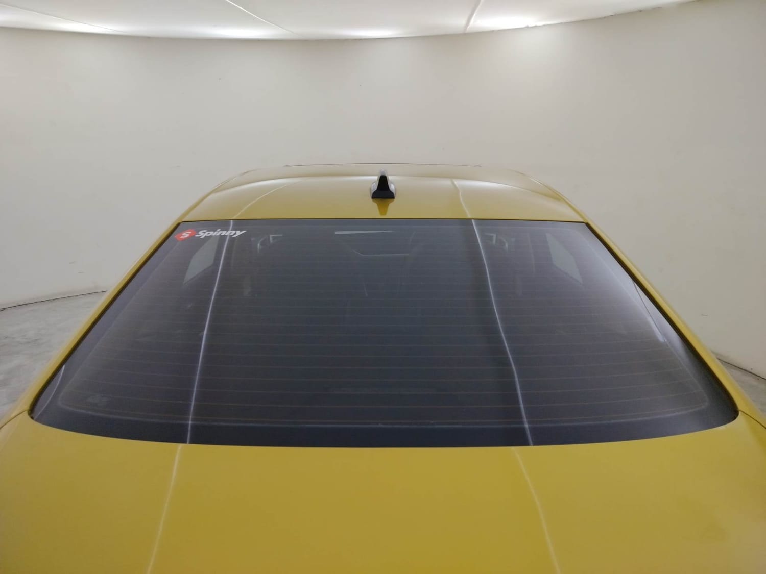 Virtus image 10 Virtus image 10